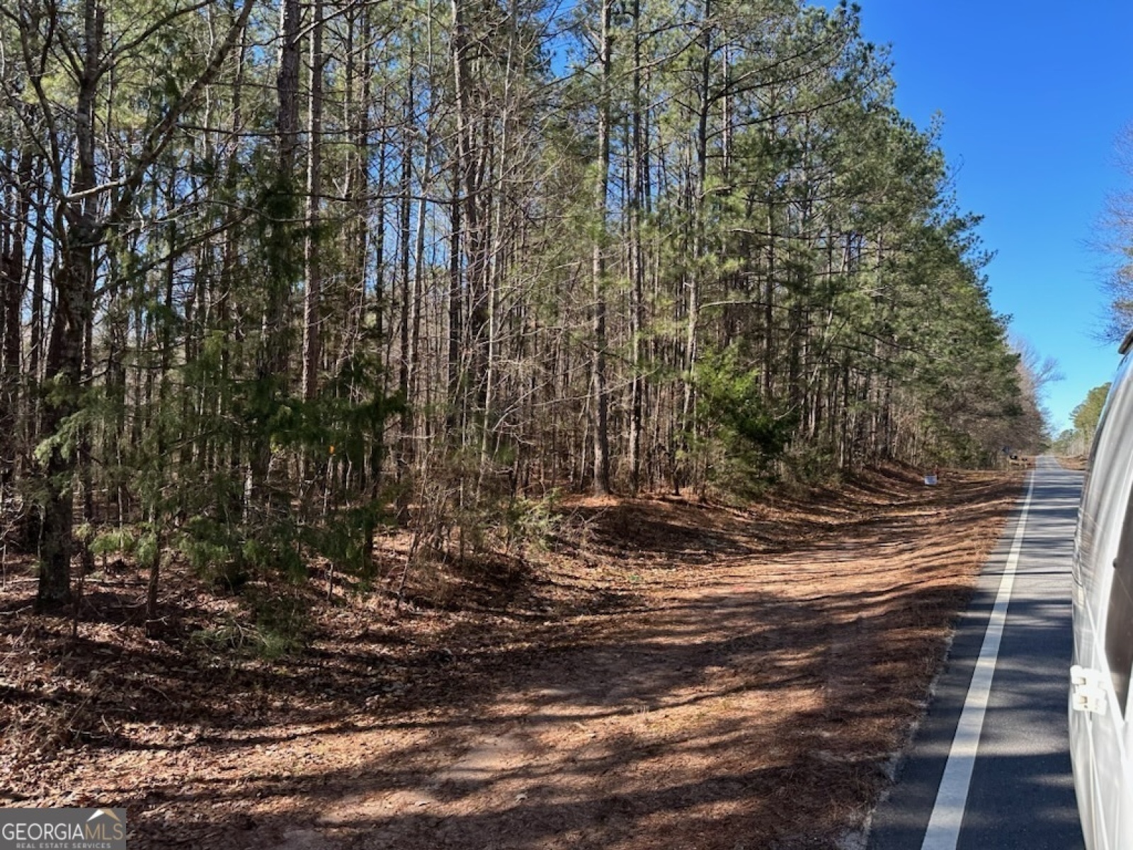 0 Rowe Road, Senoia, Georgia 30276, ,Land,For Sale,Rowe,9139448