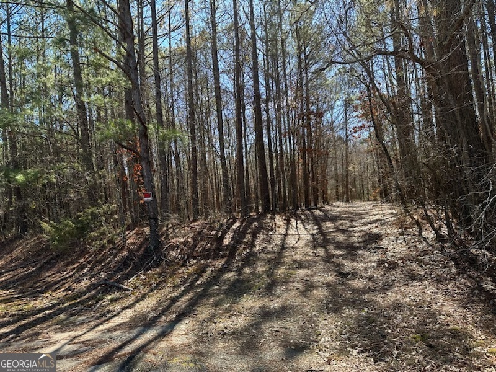 0 Rowe Road, Senoia, Georgia 30276, ,Land,For Sale,Rowe,9139448