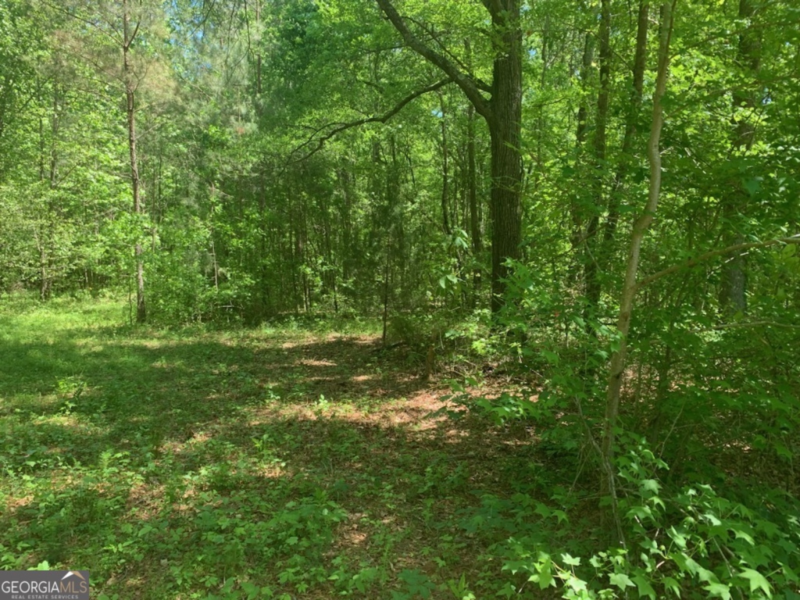 0 Rowe Road, Senoia, Georgia 30276, ,Land,For Sale,Rowe,9139448