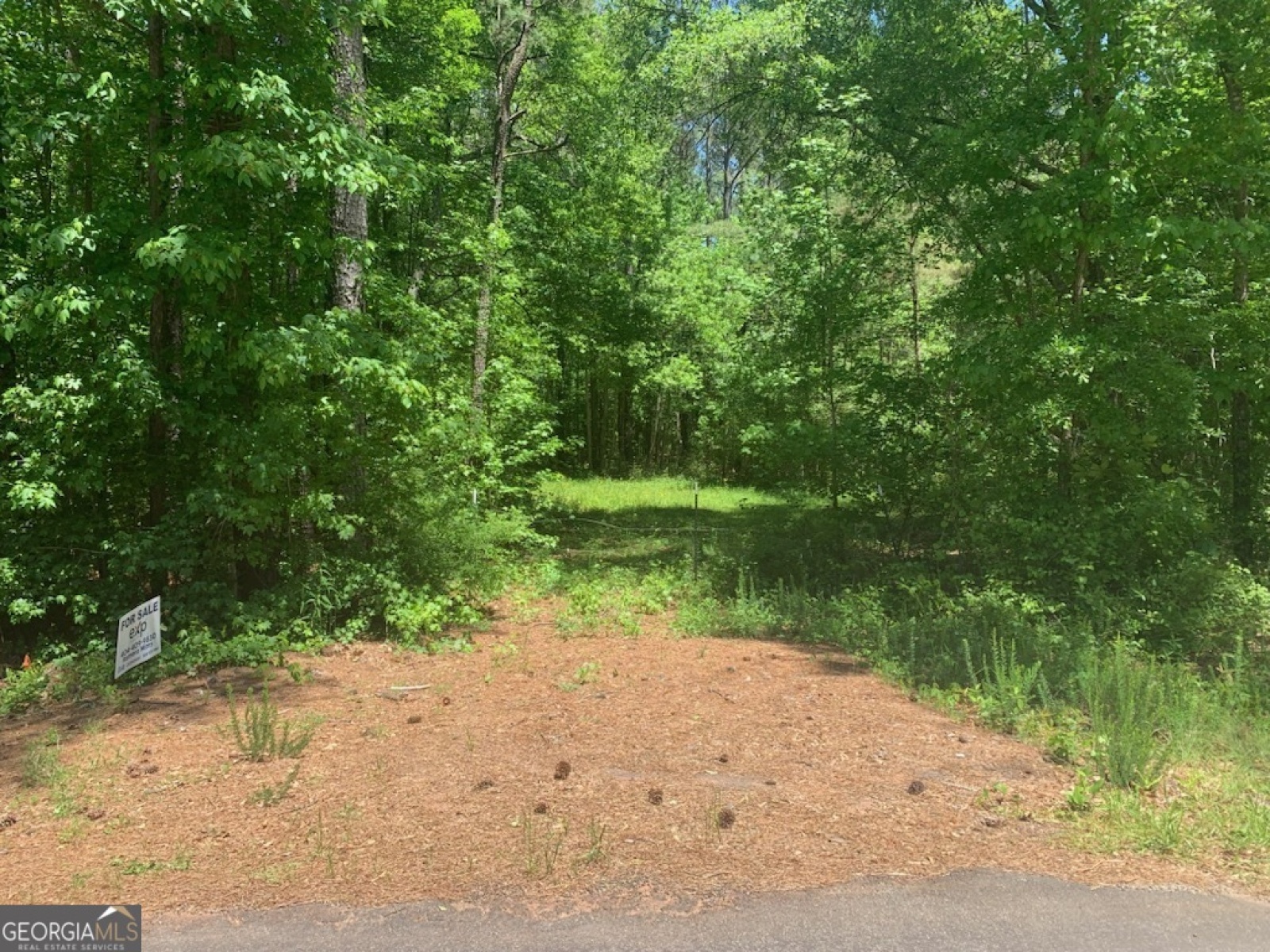 0 Rowe Road, Senoia, Georgia 30276, ,Land,For Sale,Rowe,9139448