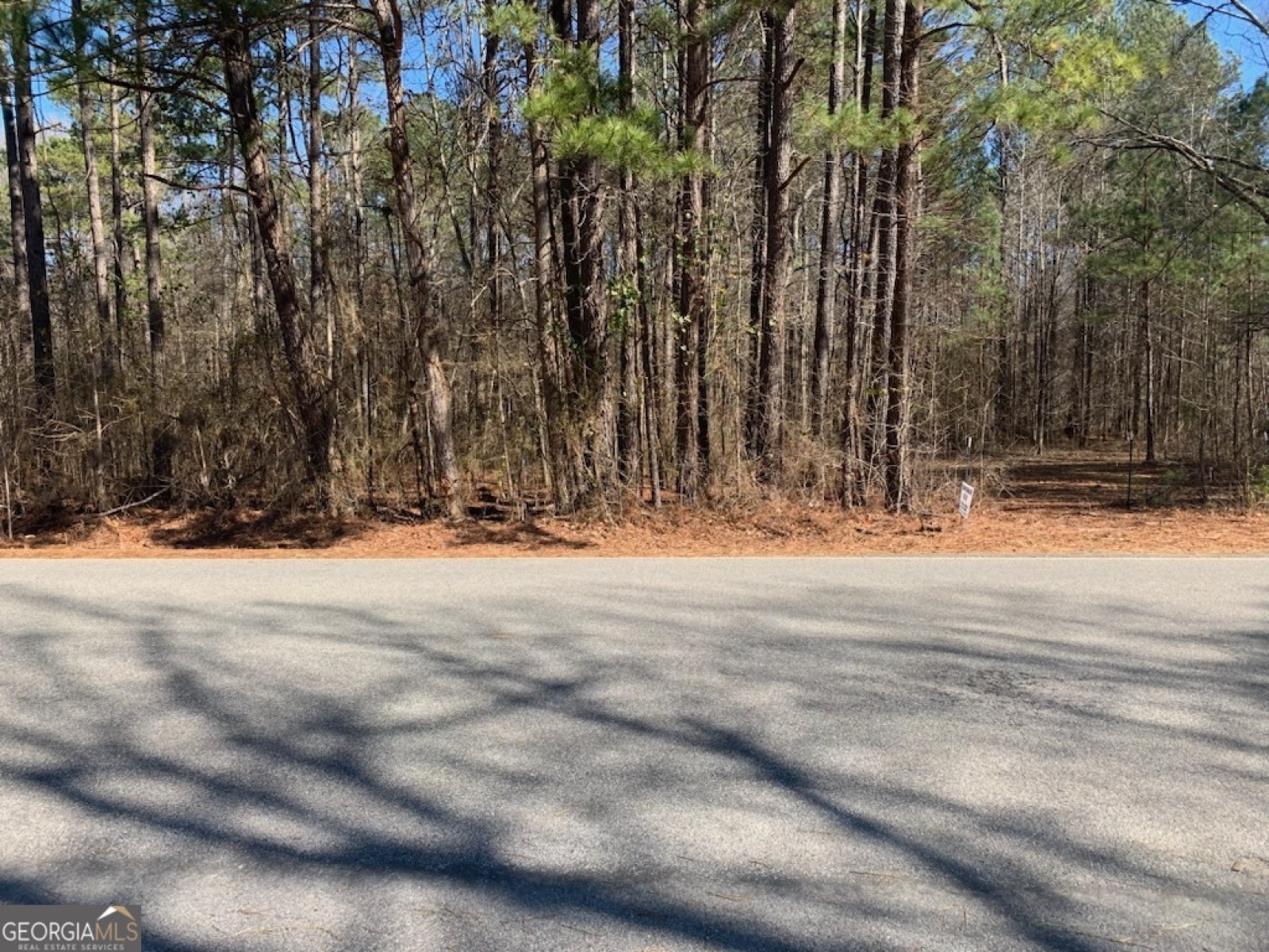 0 Rowe Road, Senoia, Georgia 30276, ,Land,For Sale,Rowe,9139448