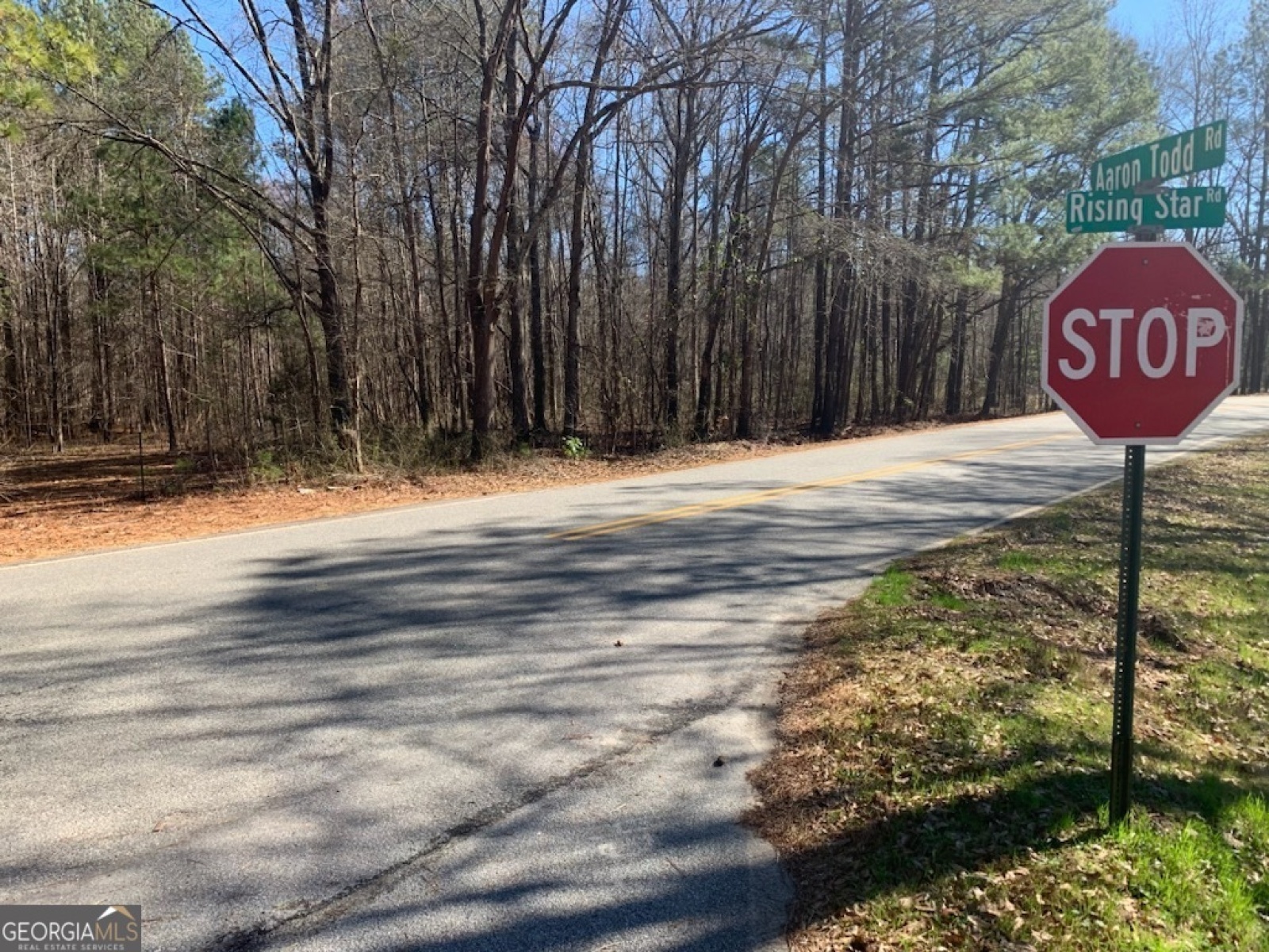 0 Rowe Road, Senoia, Georgia 30276, ,Land,For Sale,Rowe,9139448