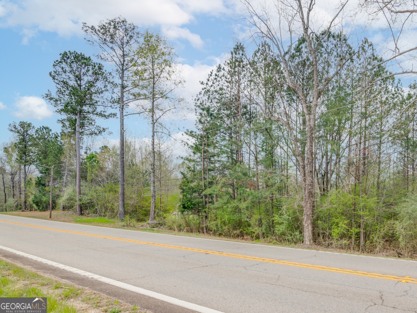 0 Hogansville Road, Hogansville, Georgia 30230, ,Land,For Sale,Hogansville,9139503