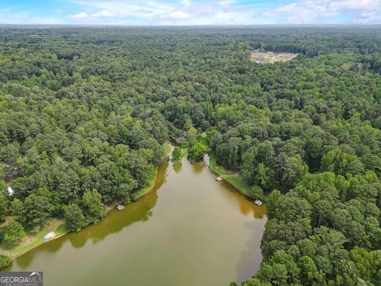 350 Lake Coweta Trail, Newnan, Georgia 30263, 4 Bedrooms Bedrooms, ,3 BathroomsBathrooms,Residential,For Sale,Lake Coweta,9139545