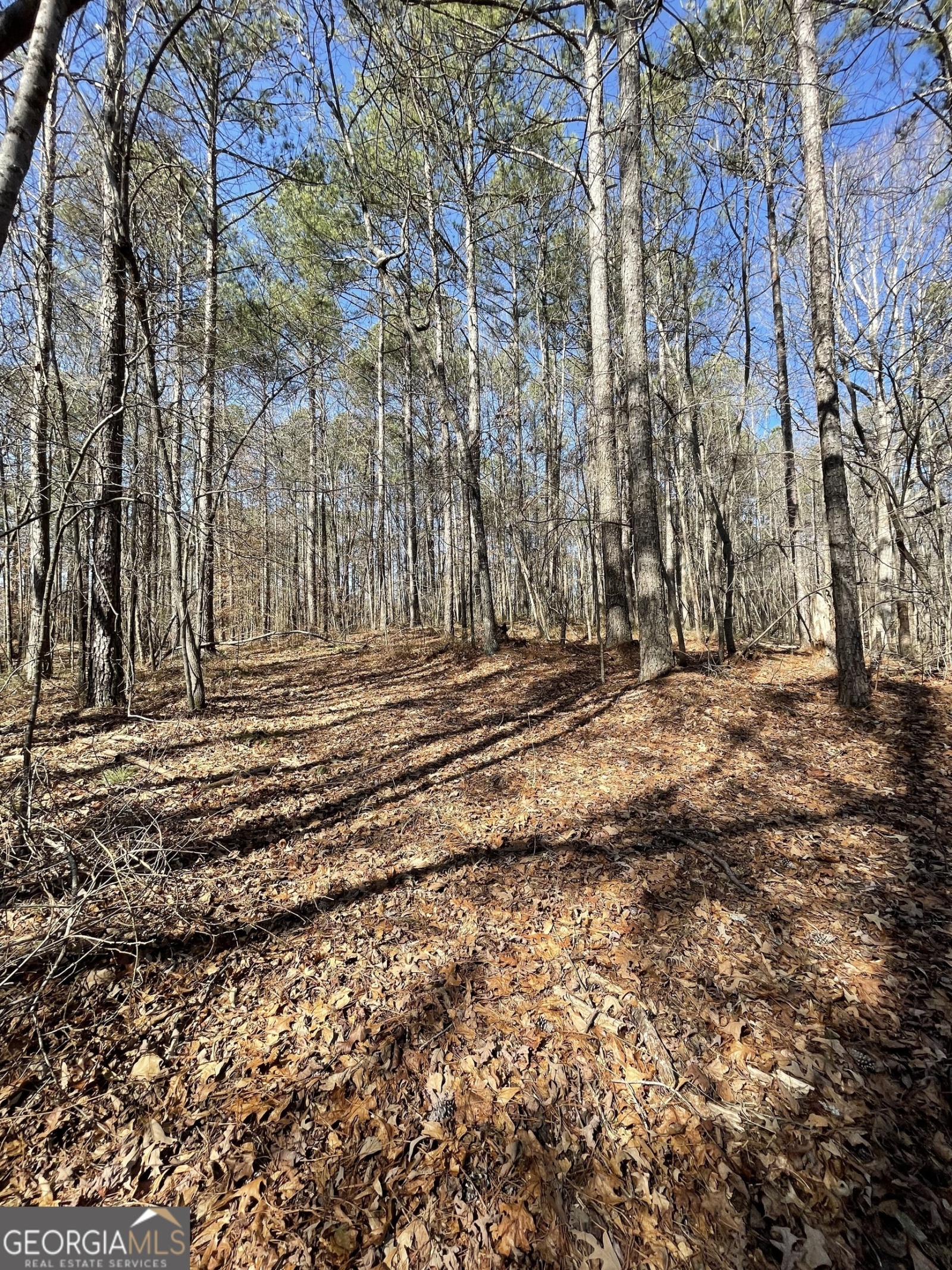 0 Cross Plains Hulett Road, Carrollton, Georgia 30116, ,Land,For Sale,Cross Plains Hulett,9139590