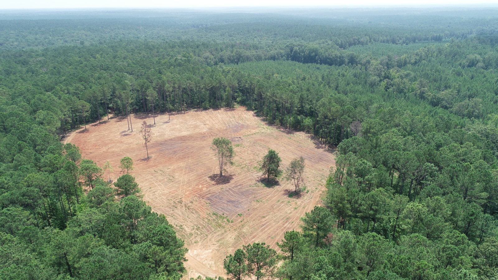 255 Andrews Mill Road, Greenville, Georgia 30222, ,Land,For Sale,Andrews Mill,9139645