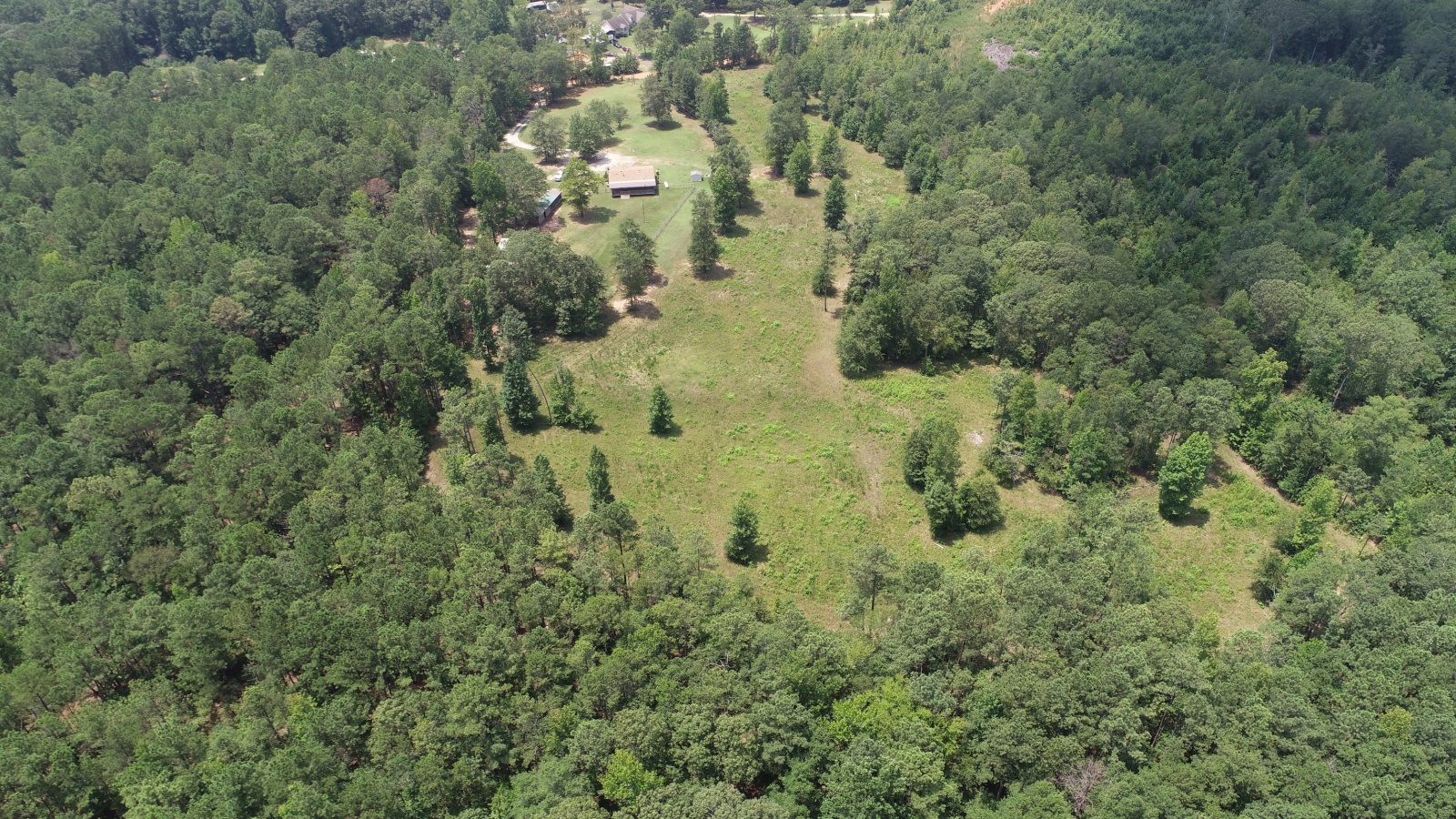 255 Andrews Mill Road, Greenville, Georgia 30222, ,Land,For Sale,Andrews Mill,9139645