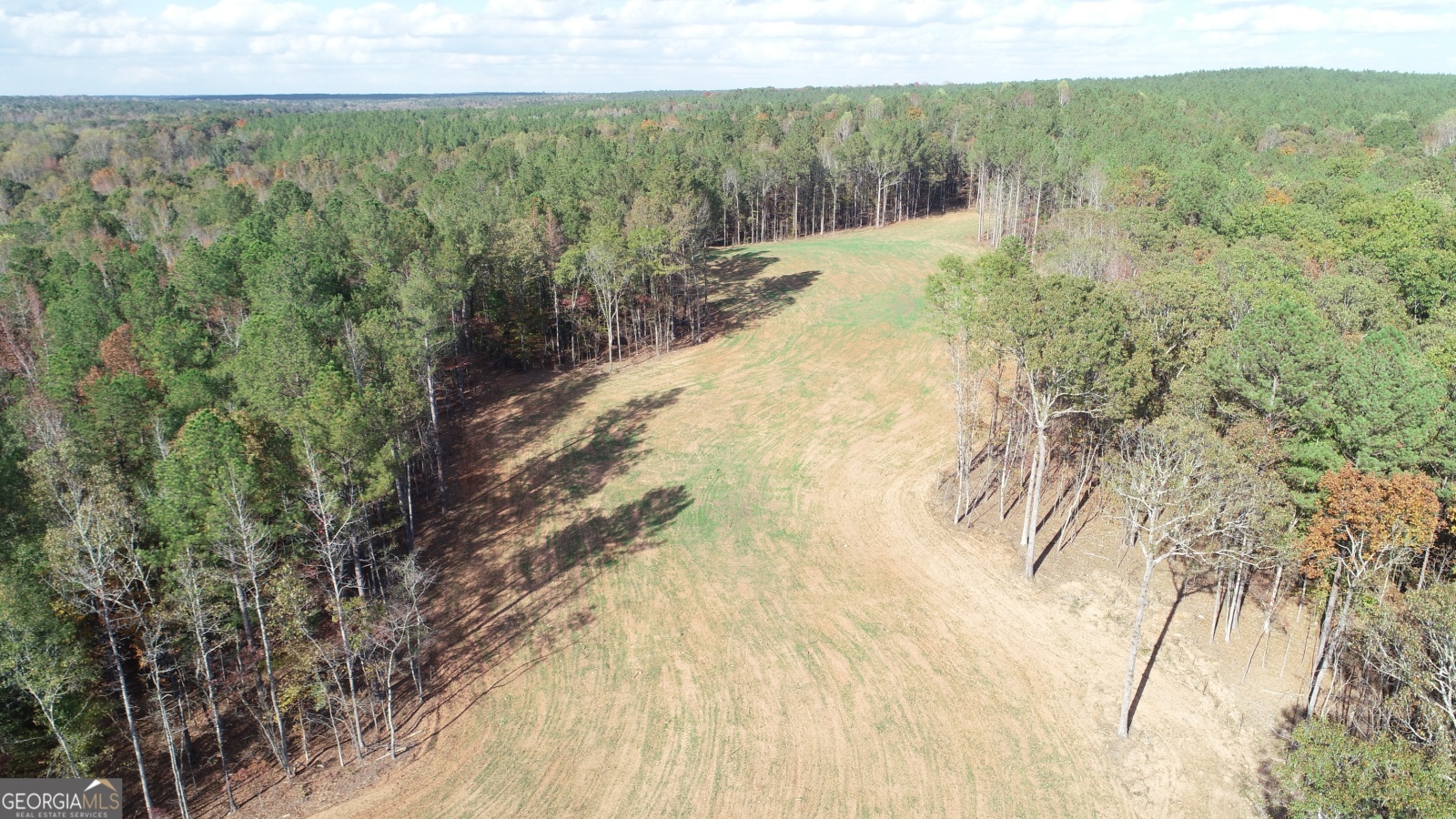 255 Andrews Mill Road, Greenville, Georgia 30222, ,Land,For Sale,Andrews Mill,9139645