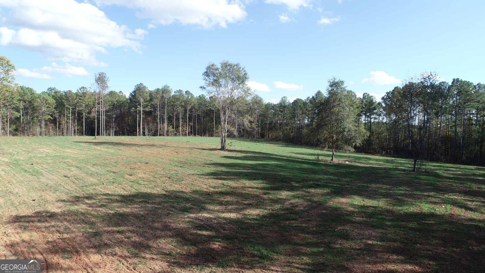 255 Andrews Mill Road, Greenville, Georgia 30222, ,Land,For Sale,Andrews Mill,9139645