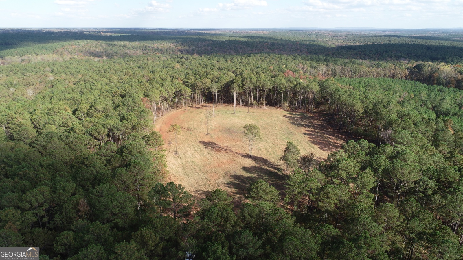 255 Andrews Mill Road, Greenville, Georgia 30222, ,Land,For Sale,Andrews Mill,9139645