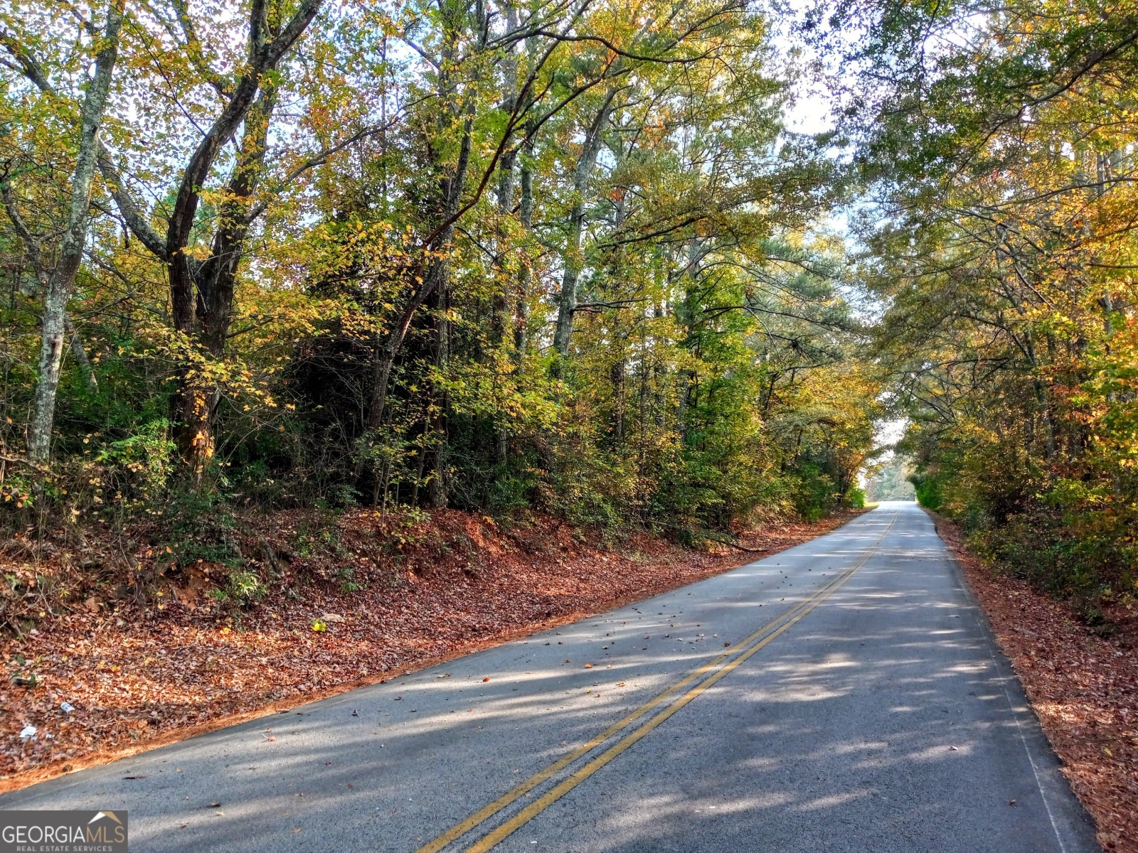 0 Asbury Road, Temple, Georgia 30179, ,Land,For Sale,Asbury,9139698