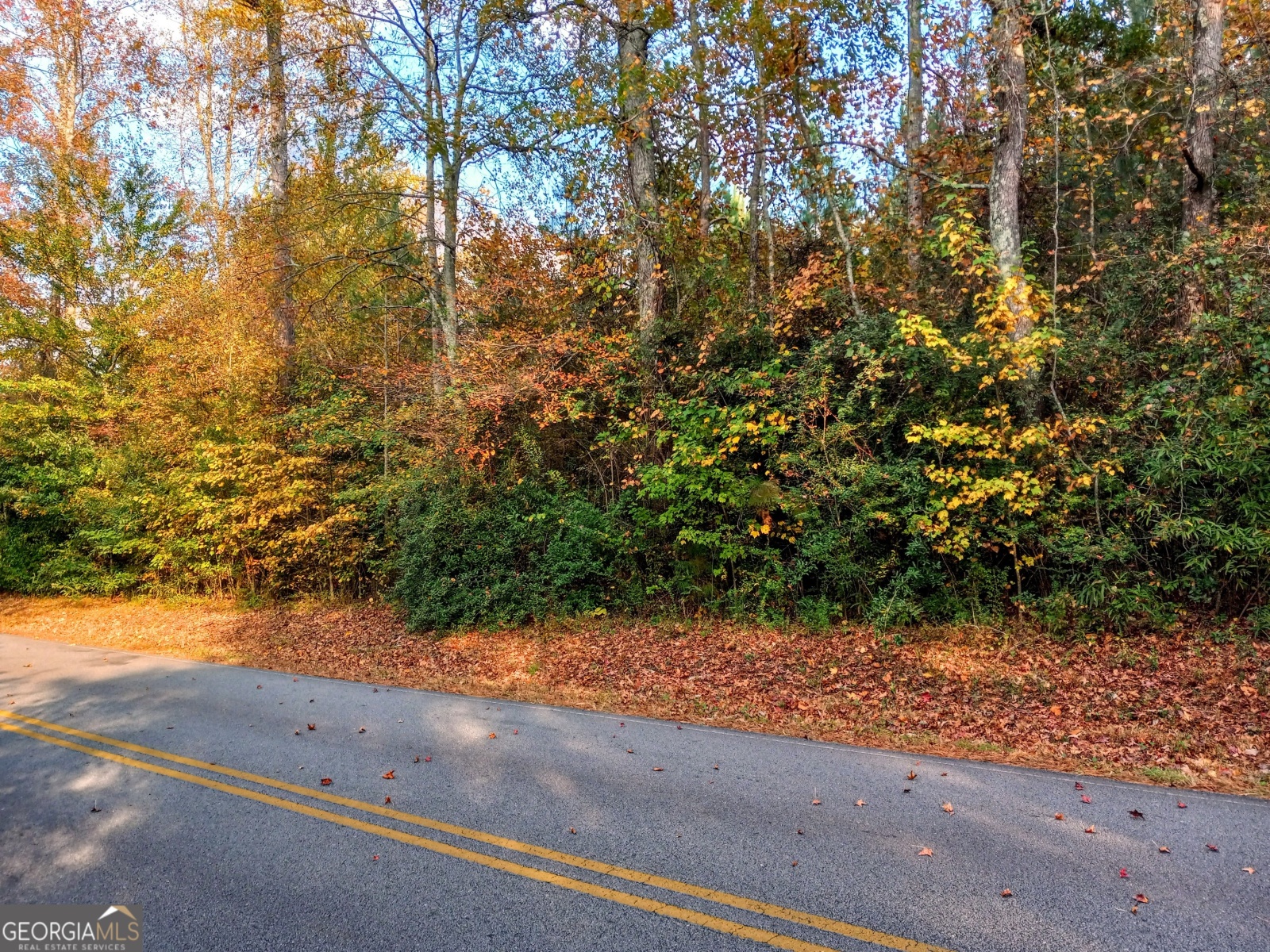 0 Asbury Road, Temple, Georgia 30179, ,Land,For Sale,Asbury,9139698