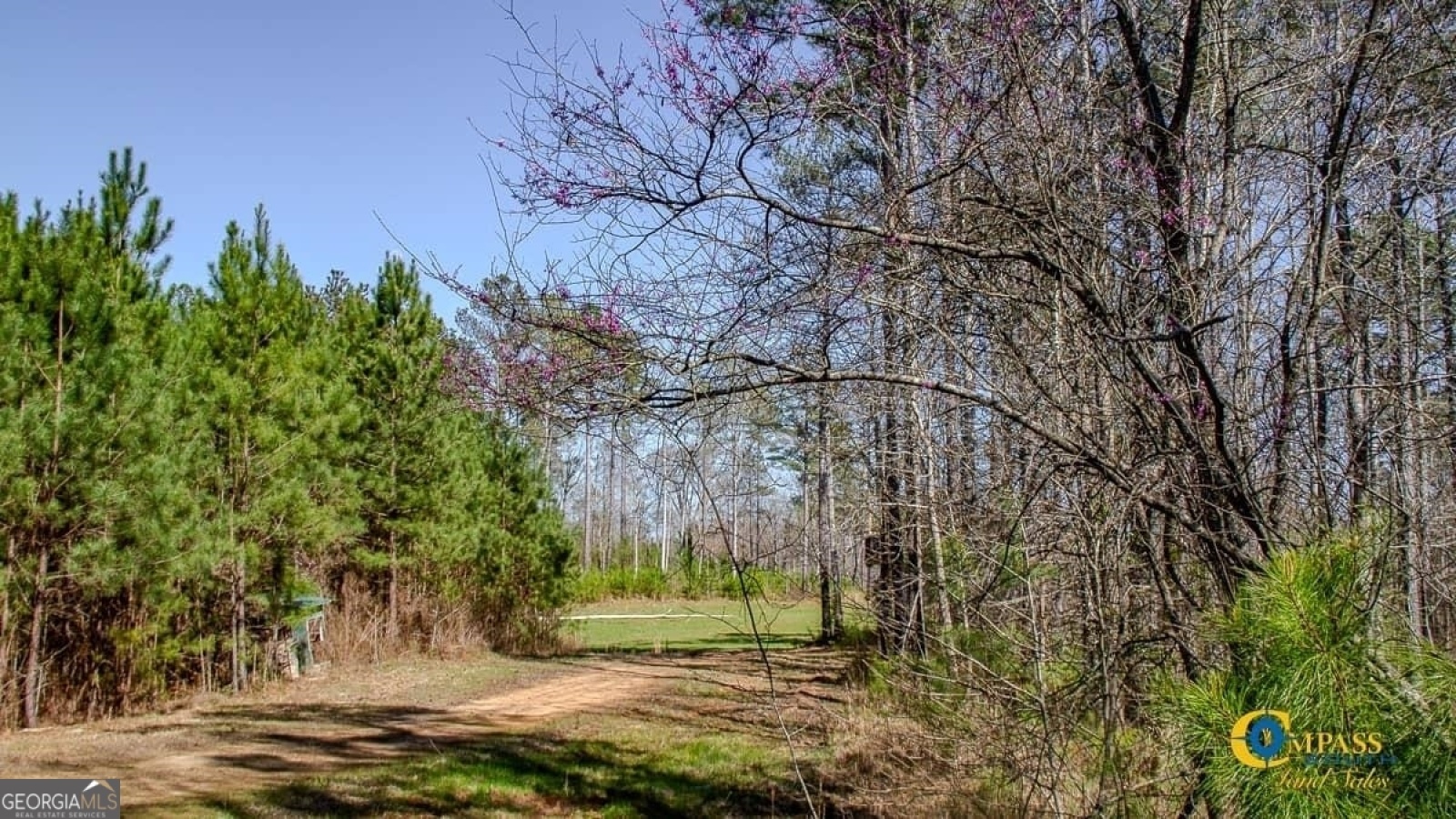 0 Mcintosh Circle, Whitesburg, Georgia 30185, ,Land,For Sale,Mcintosh,9139744