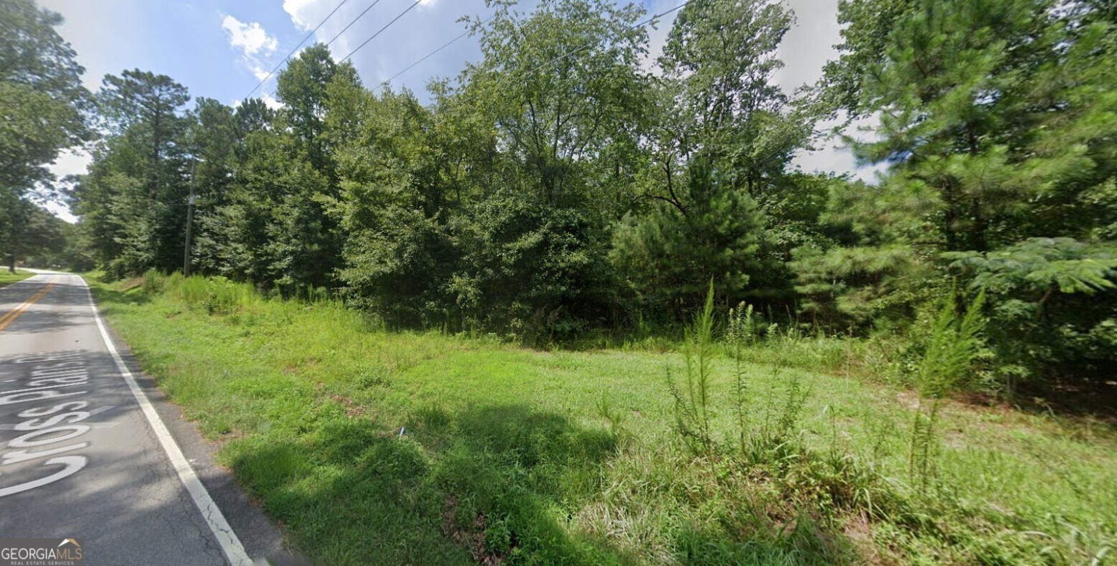 1158 Cross Plains Road, Carrollton, Georgia 30116, ,Land,For Sale,Cross Plains,9139776