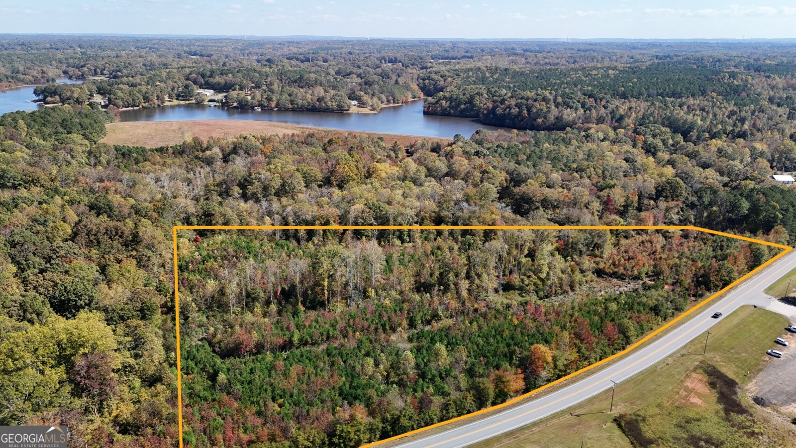 0 HWY 100, Bowdon, Georgia 30108, ,Land,For Sale,HWY 100,9139854