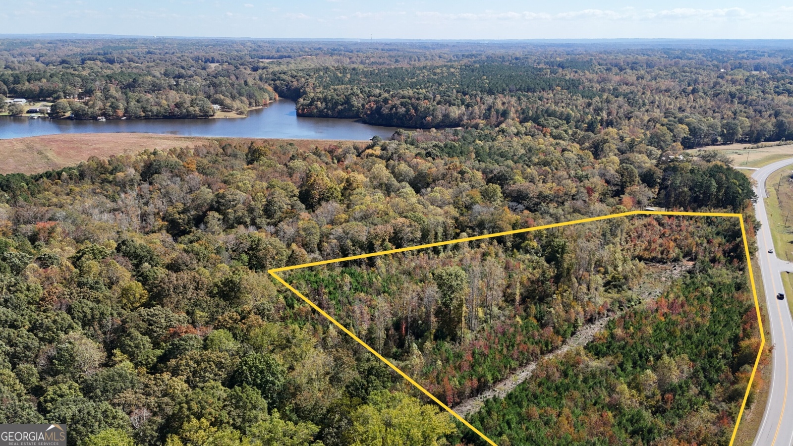 0 HWY 100, Bowdon, Georgia 30108, ,Land,For Sale,HWY 100,9139854