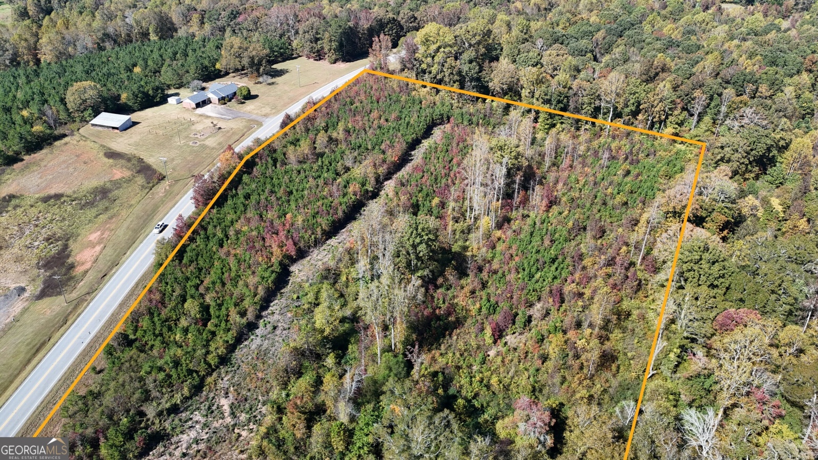 0 HWY 100, Bowdon, Georgia 30108, ,Land,For Sale,HWY 100,9139854