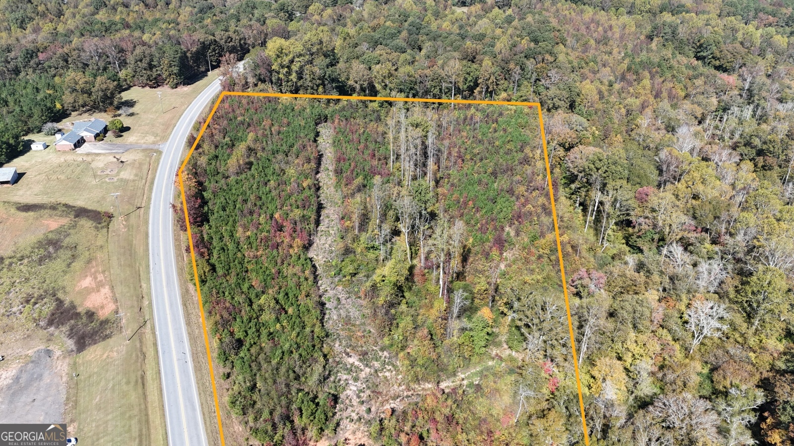 0 HWY 100, Bowdon, Georgia 30108, ,Land,For Sale,HWY 100,9139854