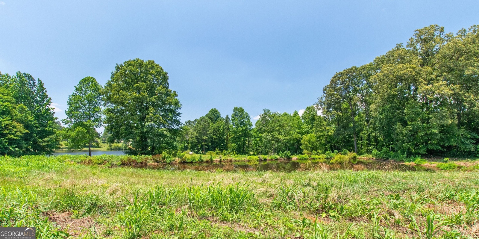 1358 HWY 5 W & 1128 Needmore Rd, Roopville, Georgia 30170, ,Land,For Sale,1128 Needmore Rd,9139962