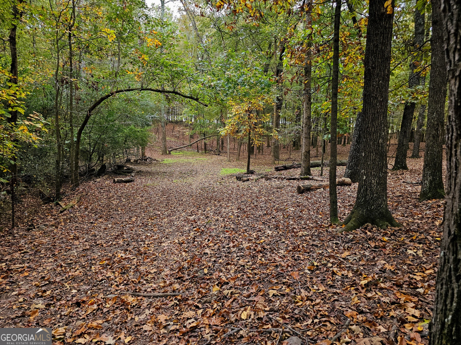 LOT 3 Gray Road, Roopville, Georgia 30170, ,Land,For Sale,Gray,9140024