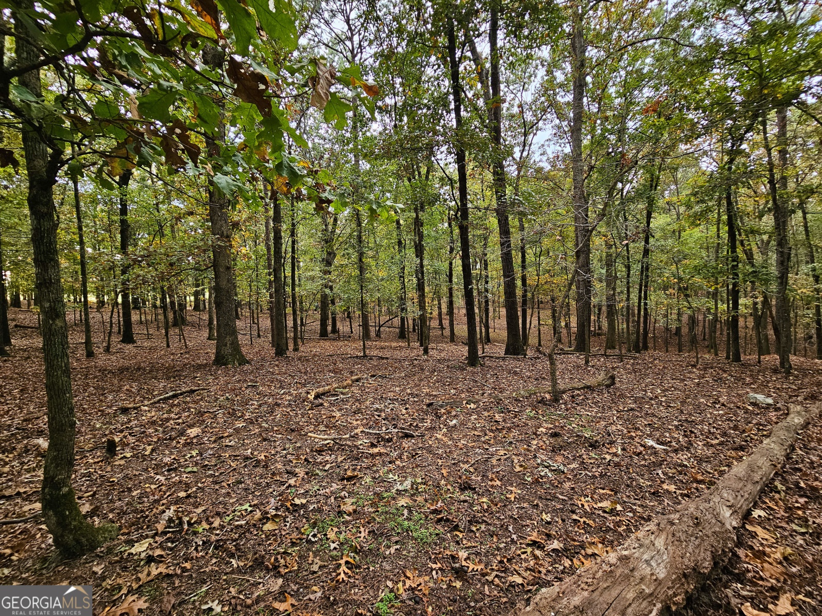 LOT 3 Gray Road, Roopville, Georgia 30170, ,Land,For Sale,Gray,9140024