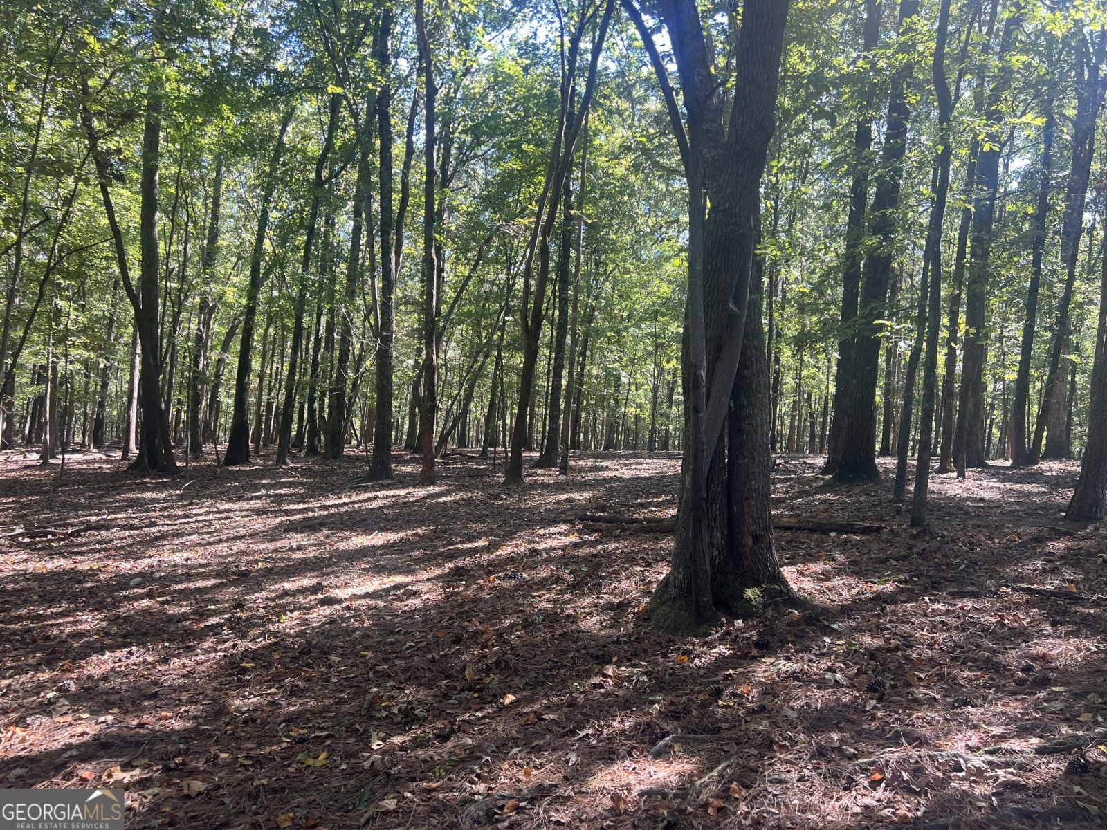 LOT 3 Gray Road, Roopville, Georgia 30170, ,Land,For Sale,Gray,9140024