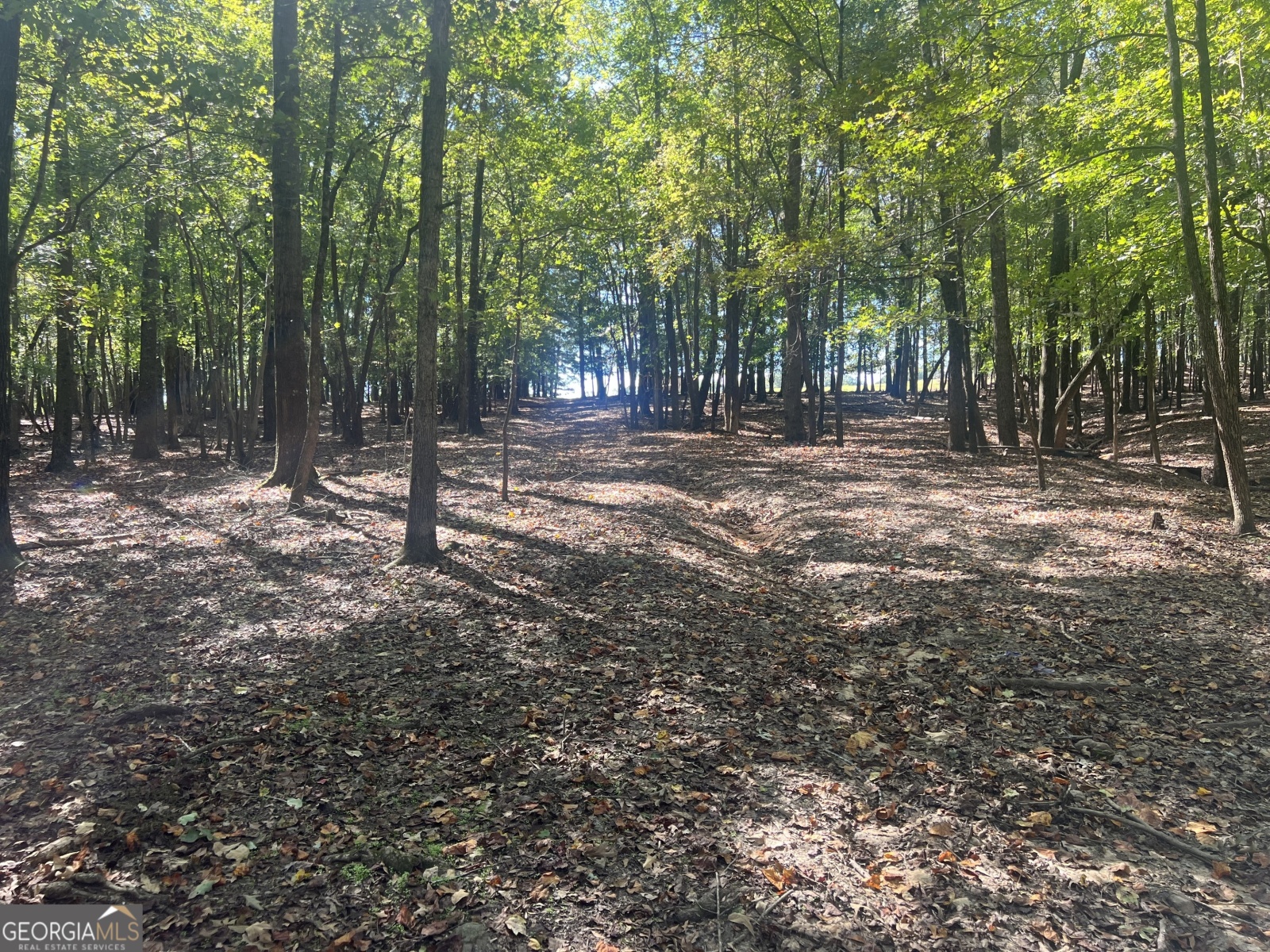 LOT 3 Gray Road, Roopville, Georgia 30170, ,Land,For Sale,Gray,9140024