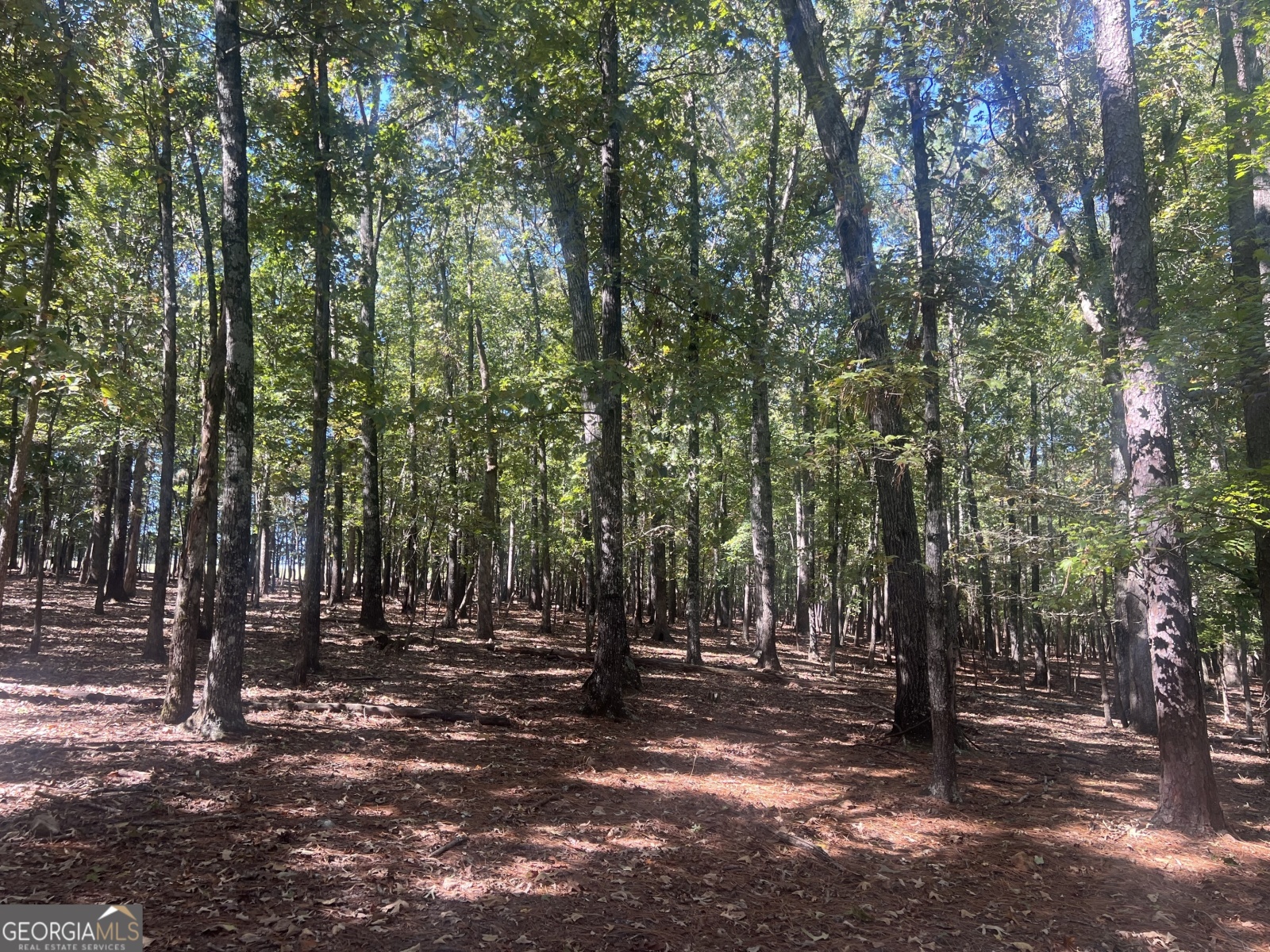 LOT 3 Gray Road, Roopville, Georgia 30170, ,Land,For Sale,Gray,9140024