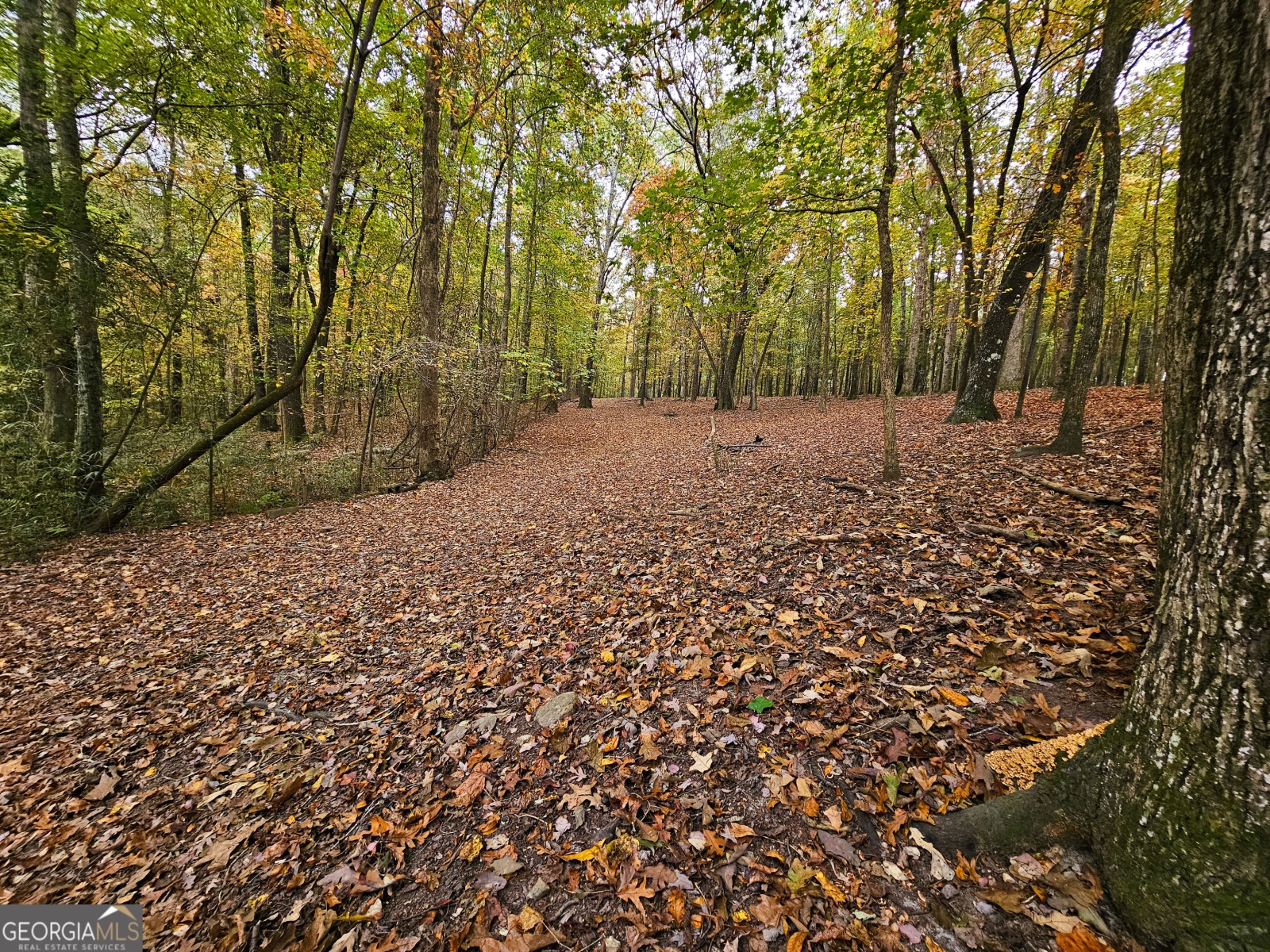 LOT 4 Gray Road, Roopville, Georgia 30170, ,Land,For Sale,Gray,9140025