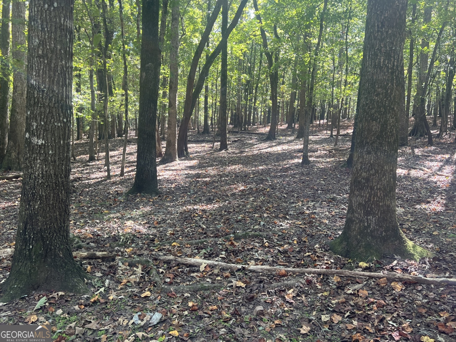 LOT 4 Gray Road, Roopville, Georgia 30170, ,Land,For Sale,Gray,9140025