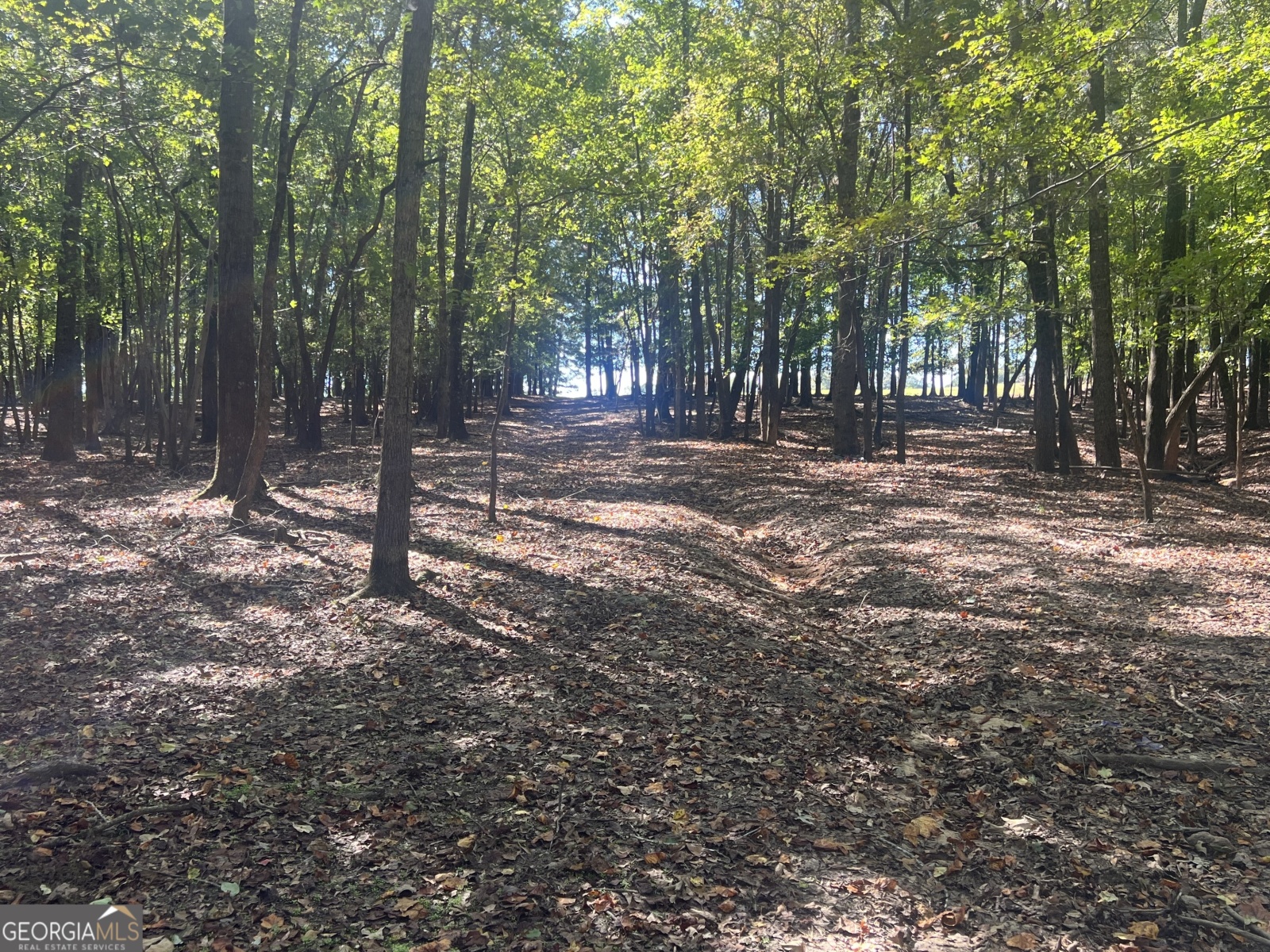 LOT 4 Gray Road, Roopville, Georgia 30170, ,Land,For Sale,Gray,9140025