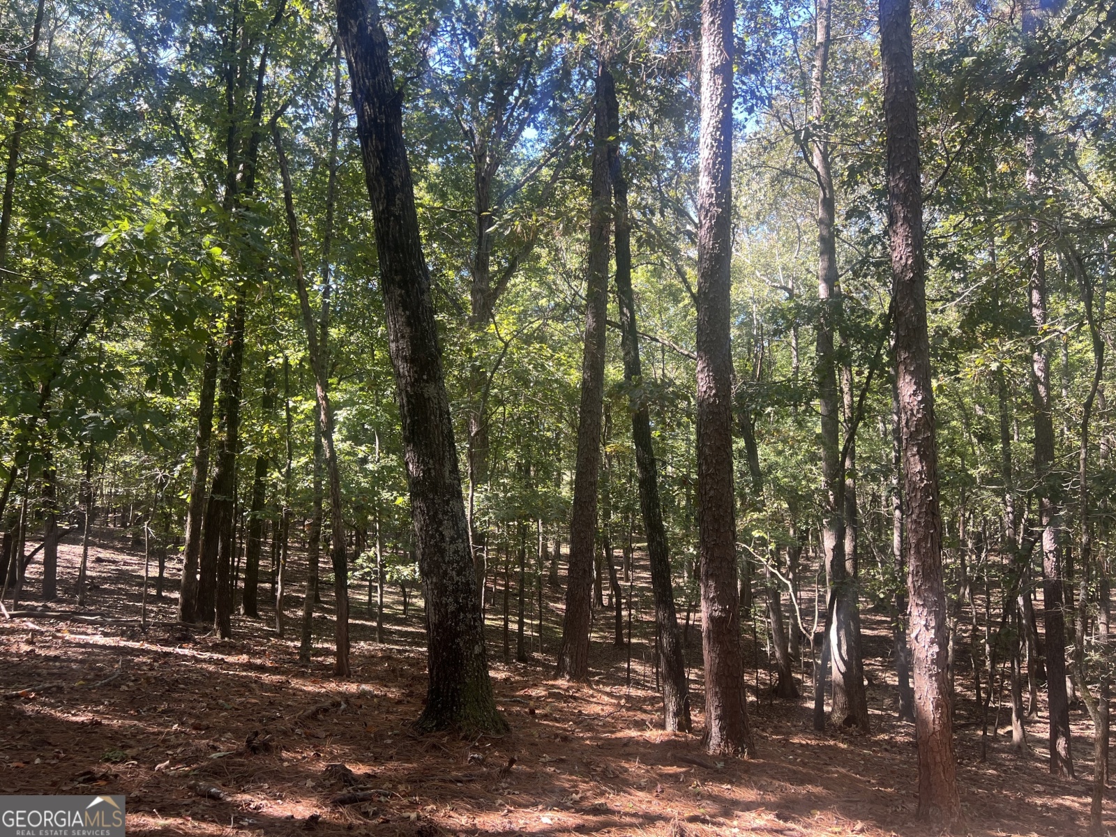 LOT 4 Gray Road, Roopville, Georgia 30170, ,Land,For Sale,Gray,9140025