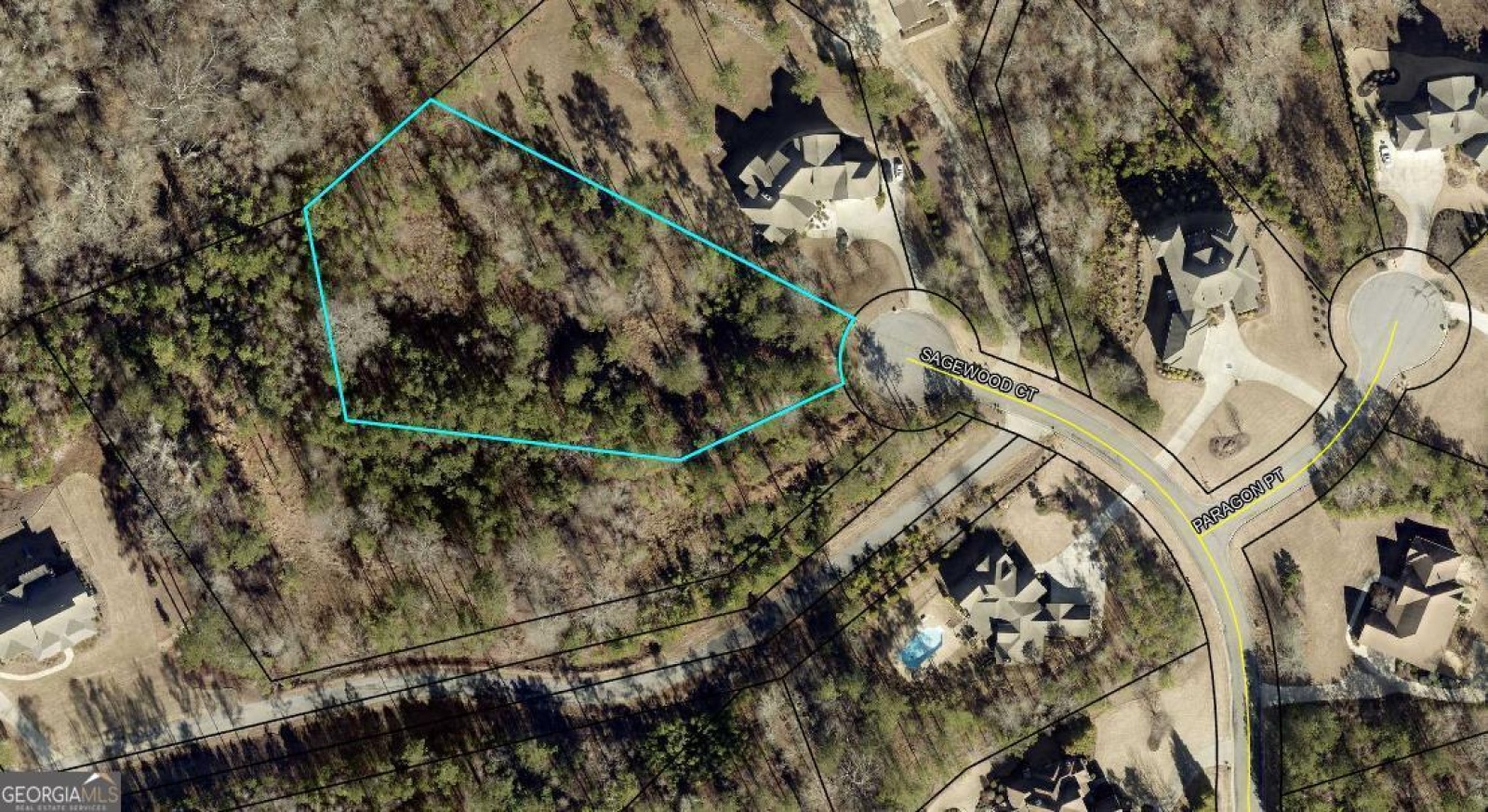 0 Sagewood Court, Newnan, Georgia 30265, ,Land,For Sale,Sagewood Court,9140072