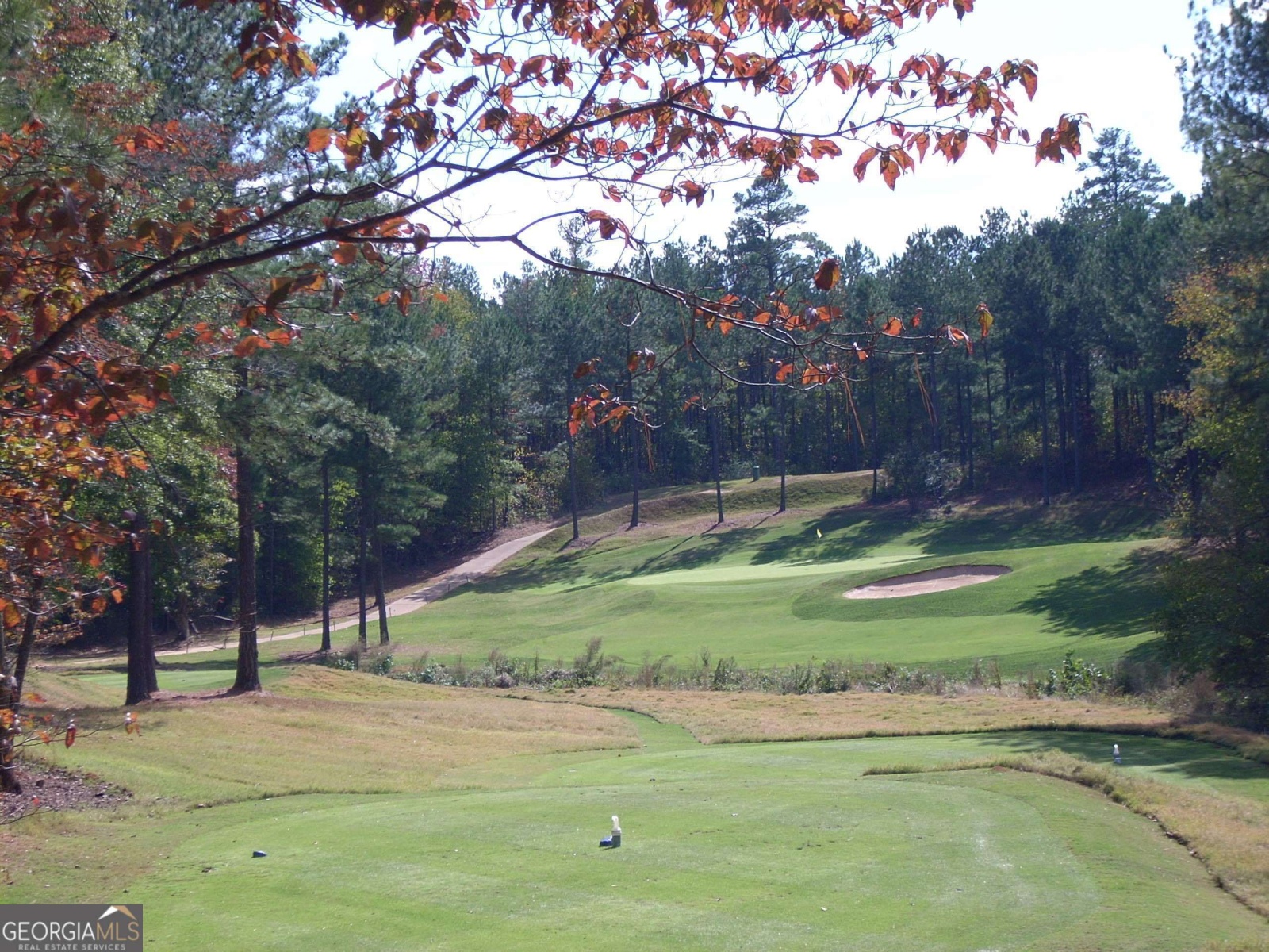 0 Sagewood Court, Newnan, Georgia 30265, ,Land,For Sale,Sagewood Court,9140072