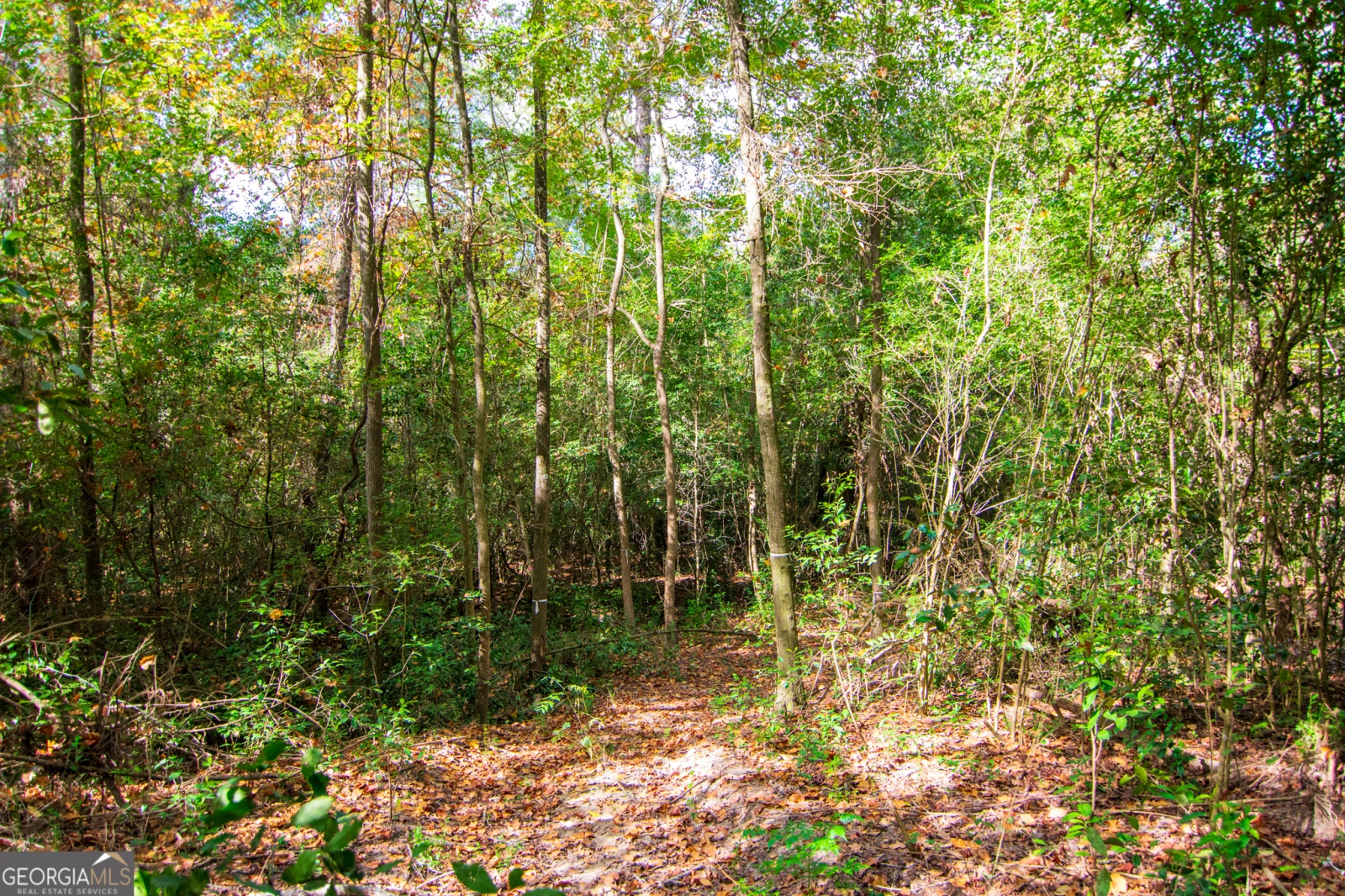 0 CROSS GATE Drive, Columbus, Georgia 31907, ,Land,For Sale,CROSS GATE,9140091