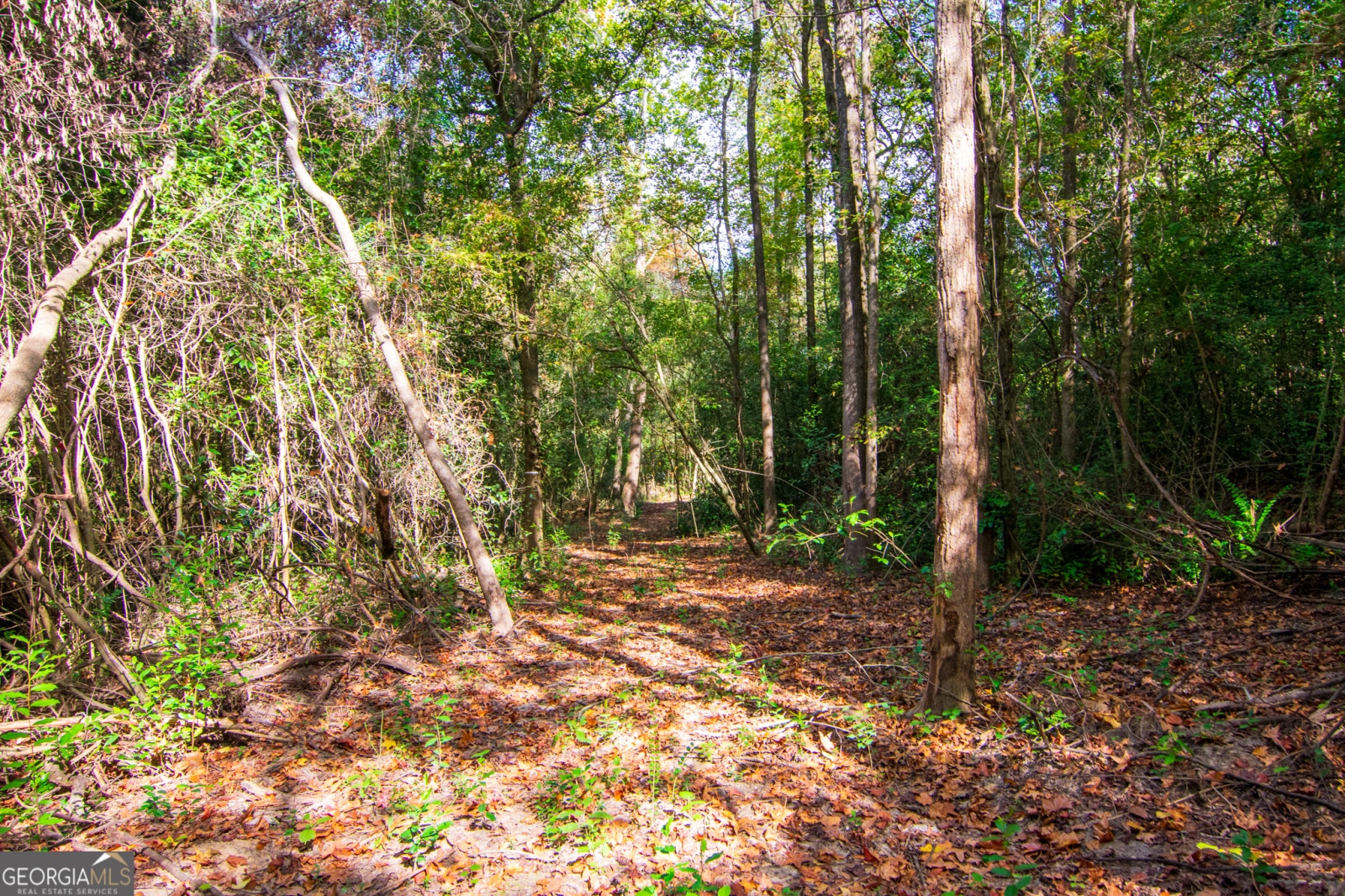 0 CROSS GATE Drive, Columbus, Georgia 31907, ,Land,For Sale,CROSS GATE,9140091