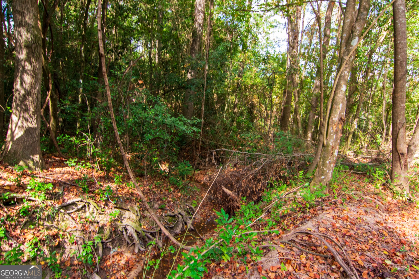 0 CROSS GATE Drive, Columbus, Georgia 31907, ,Land,For Sale,CROSS GATE,9140091