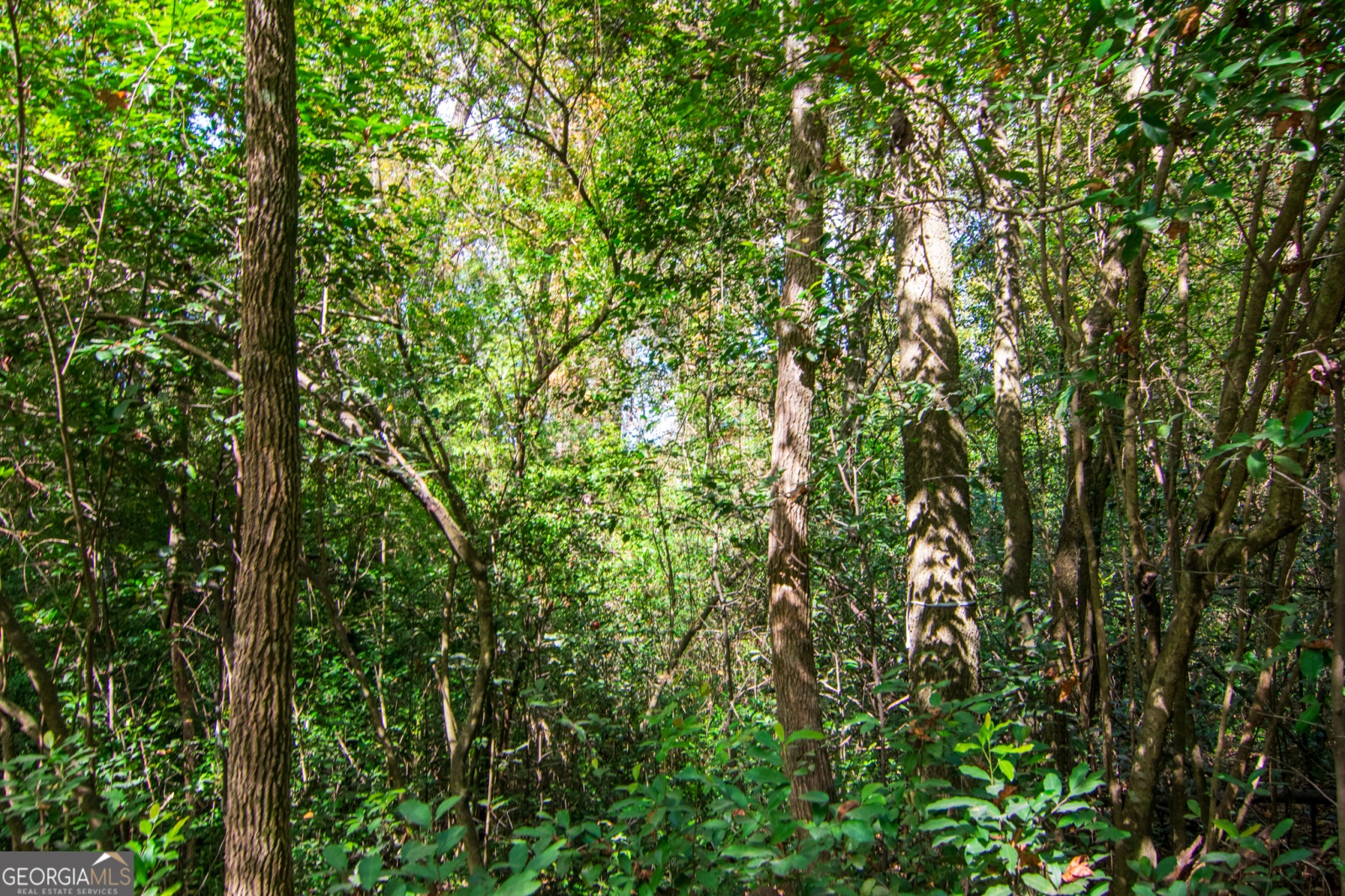 0 CROSS GATE Drive, Columbus, Georgia 31907, ,Land,For Sale,CROSS GATE,9140091