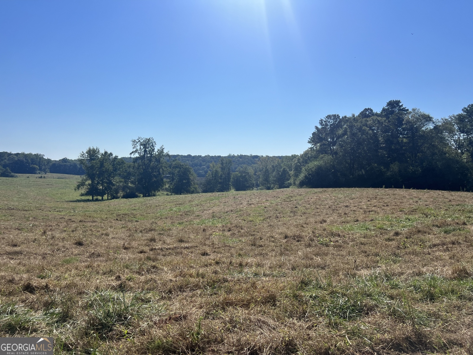 0 Wright Road, Franklin, Georgia 30217, ,Land,For Sale,Wright,9140125