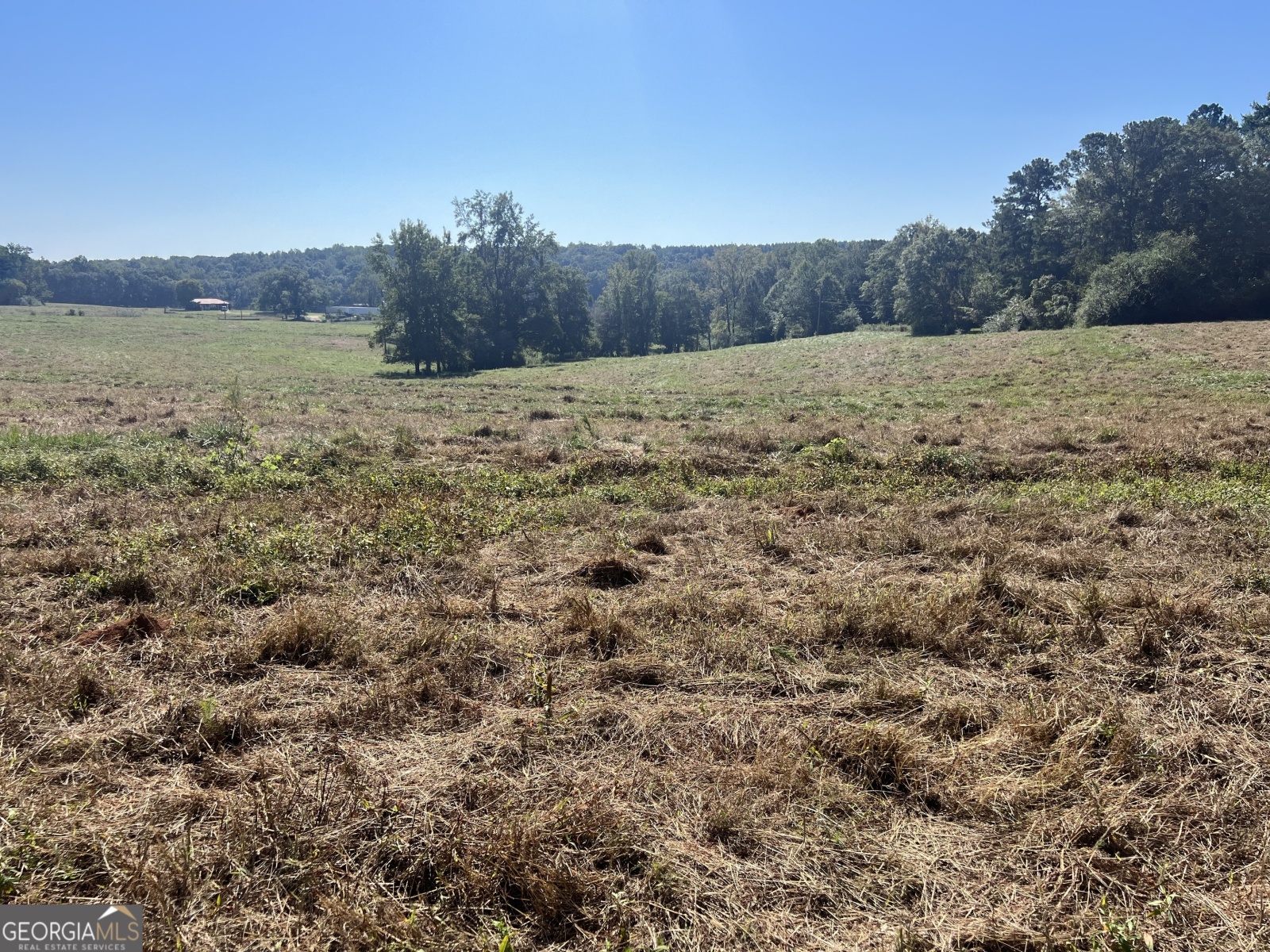 0 Wright Road, Franklin, Georgia 30217, ,Land,For Sale,Wright,9140125