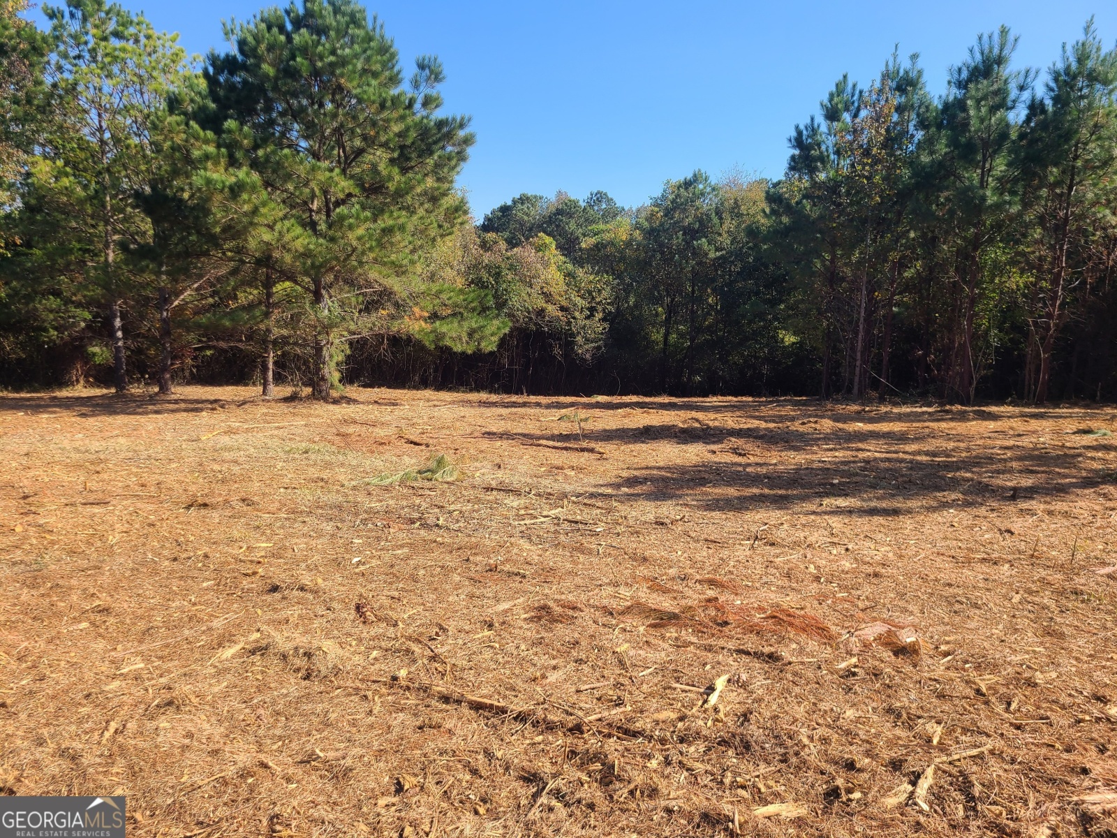 0 Dunson Shoals Road, Franklin, Georgia 30217, ,Land,For Sale,Dunson Shoals,9140251