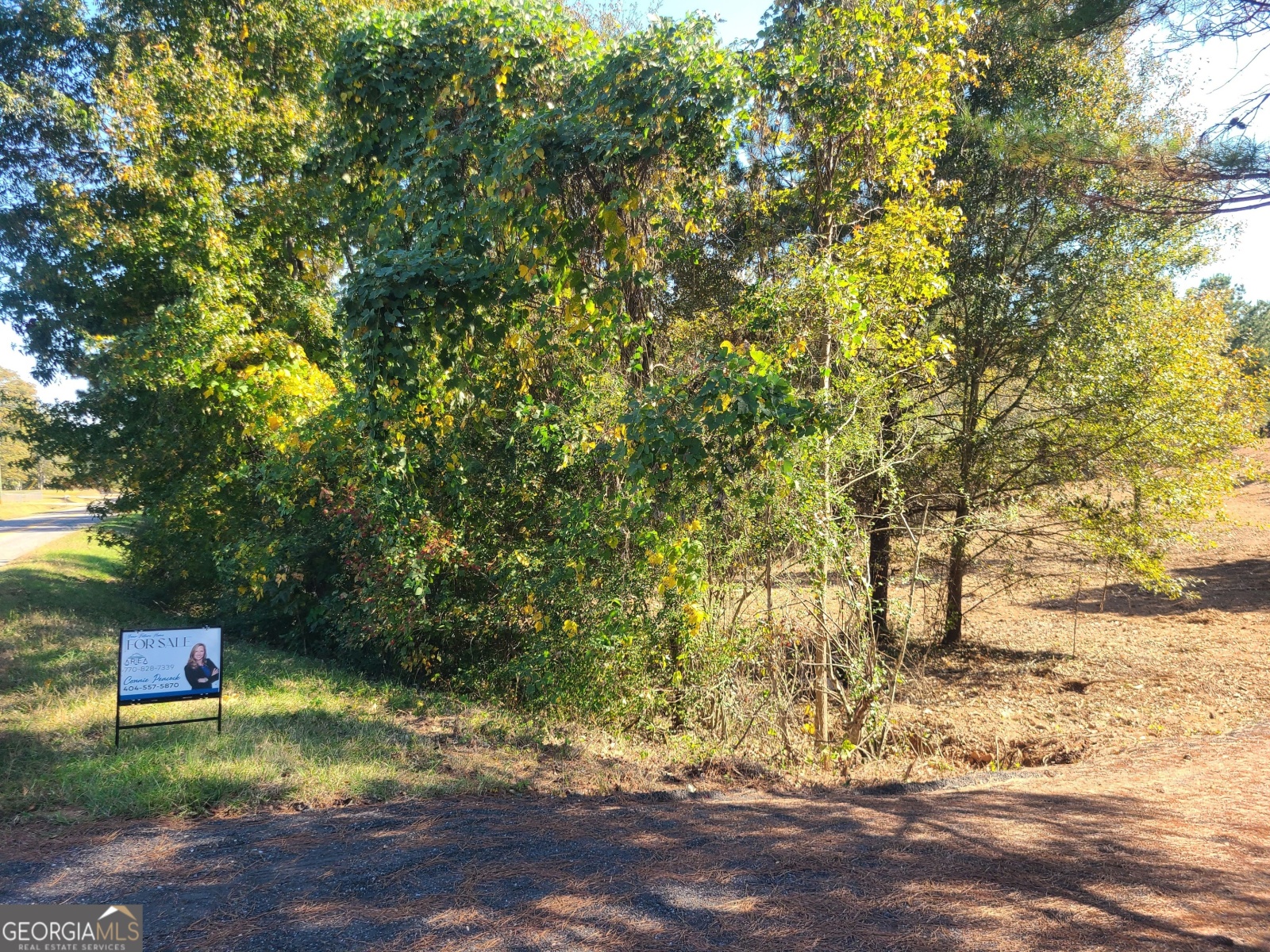 0 Dunson Shoals Road, Franklin, Georgia 30217, ,Land,For Sale,Dunson Shoals,9140251