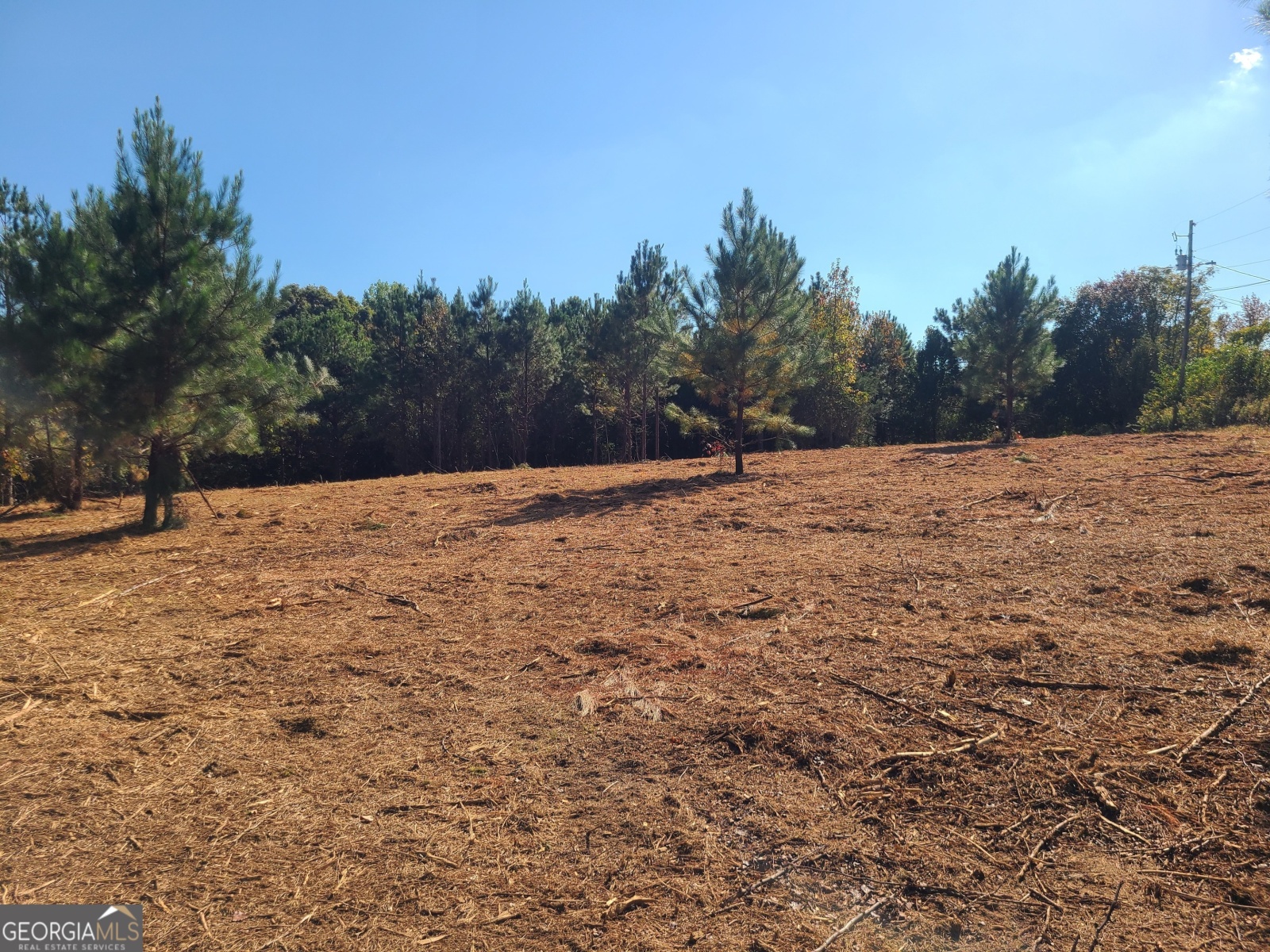 0 Dunson Shoals Road, Franklin, Georgia 30217, ,Land,For Sale,Dunson Shoals,9140251