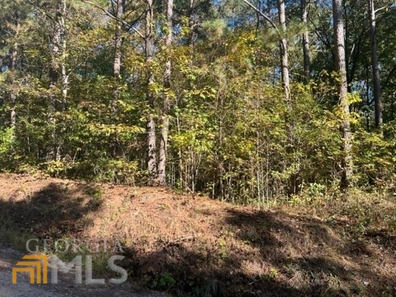 0 Old Lowell Mill Road, Carrollton, Georgia 30116, ,Land,For Sale,Old Lowell Mill,9140259