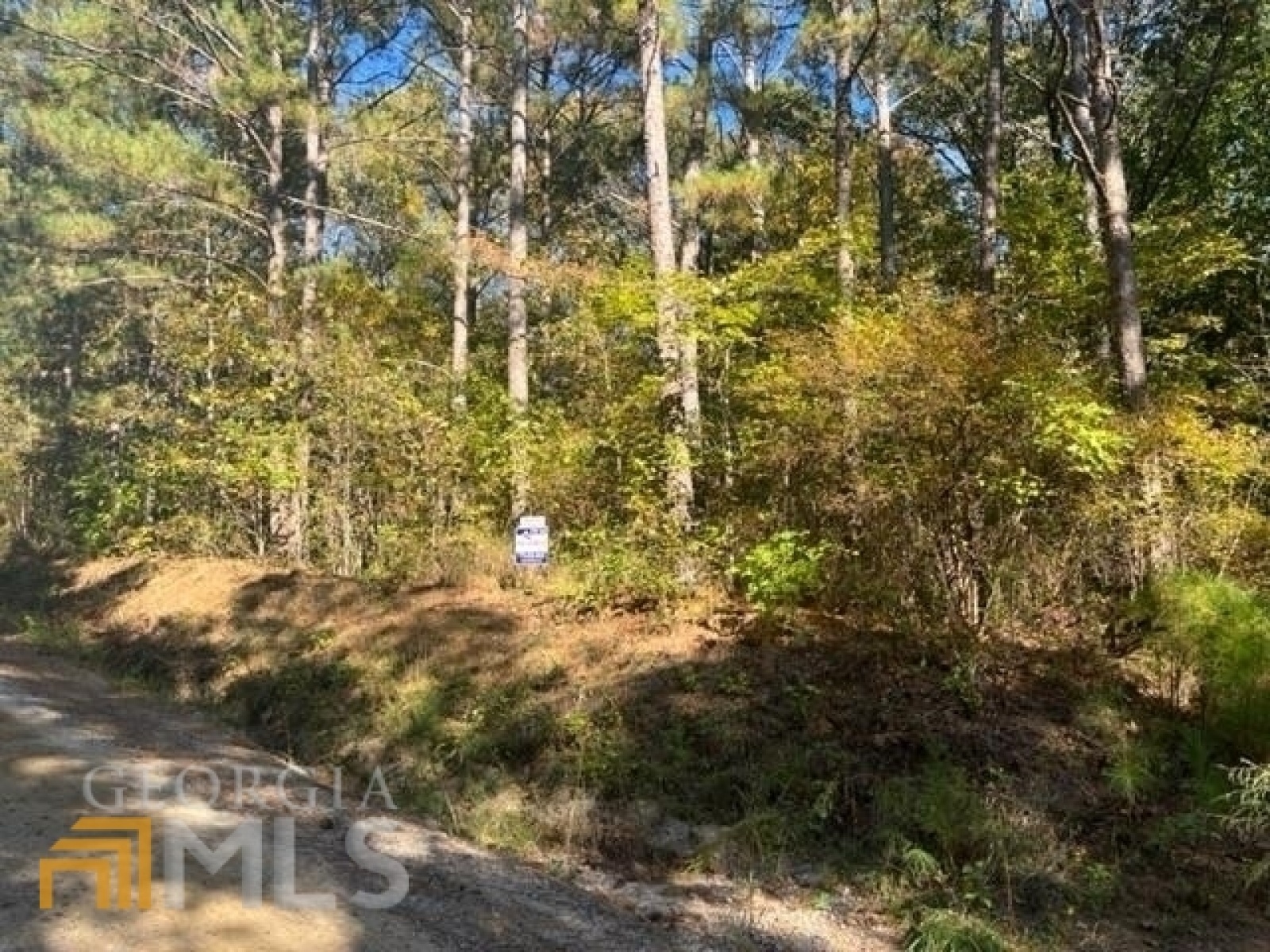 0 Old Lowell Mill Road, Carrollton, Georgia 30116, ,Land,For Sale,Old Lowell Mill,9140259