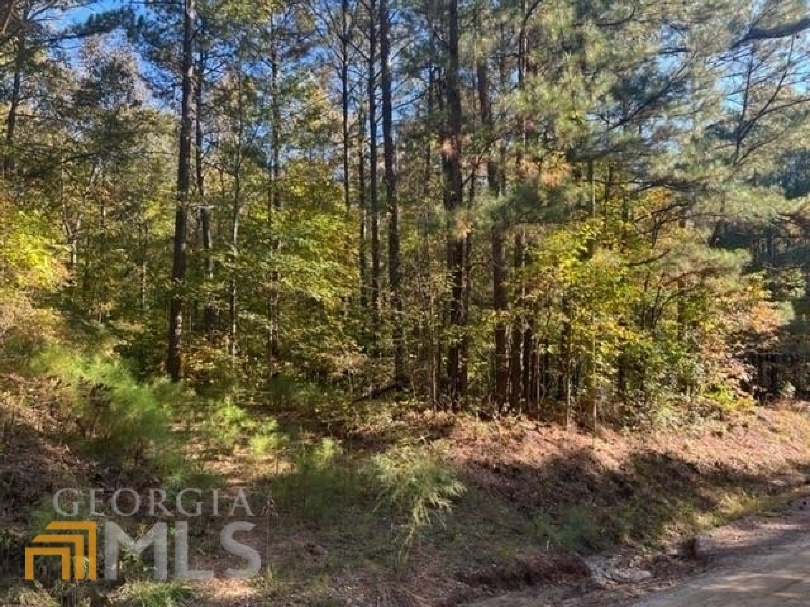 0 Old Lowell Mill Road, Carrollton, Georgia 30116, ,Land,For Sale,Old Lowell Mill,9140259