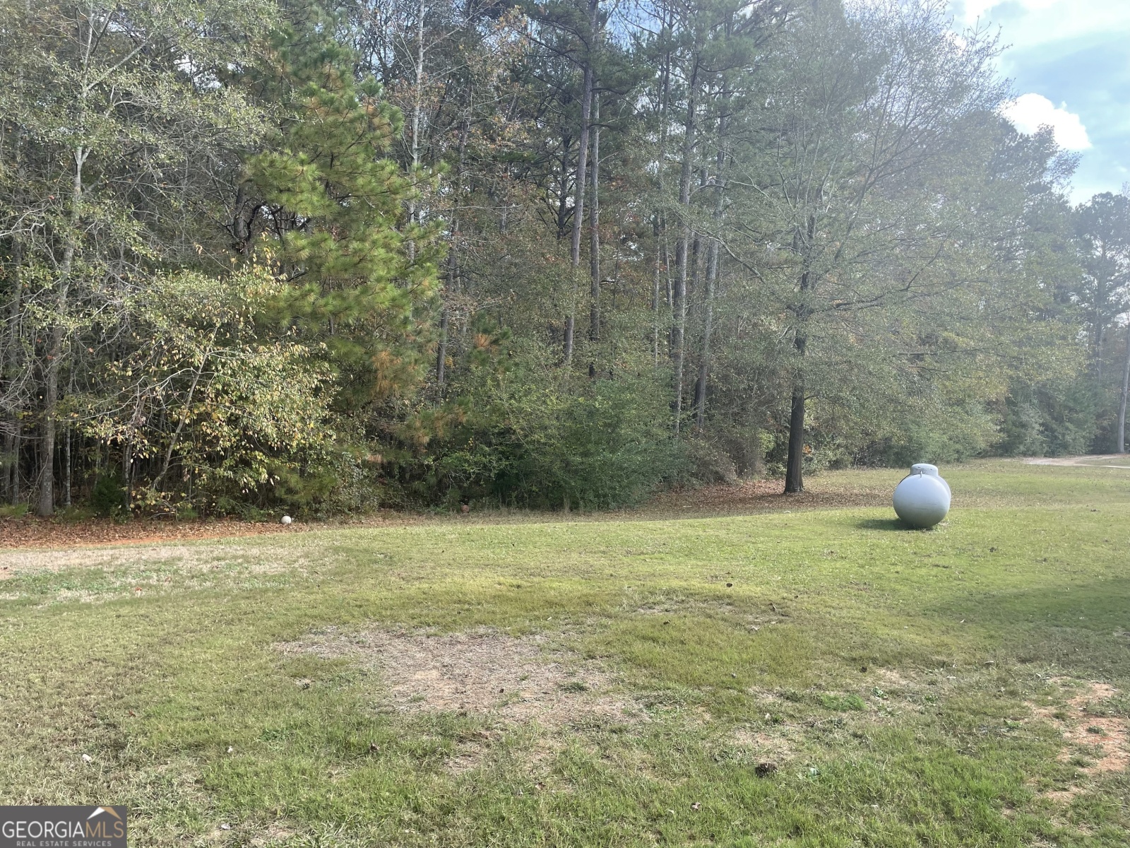 562 Jonesville Road, Bowdon, Georgia 30108, 3 Bedrooms Bedrooms, ,2 BathroomsBathrooms,Residential,For Sale,Jonesville,9140260