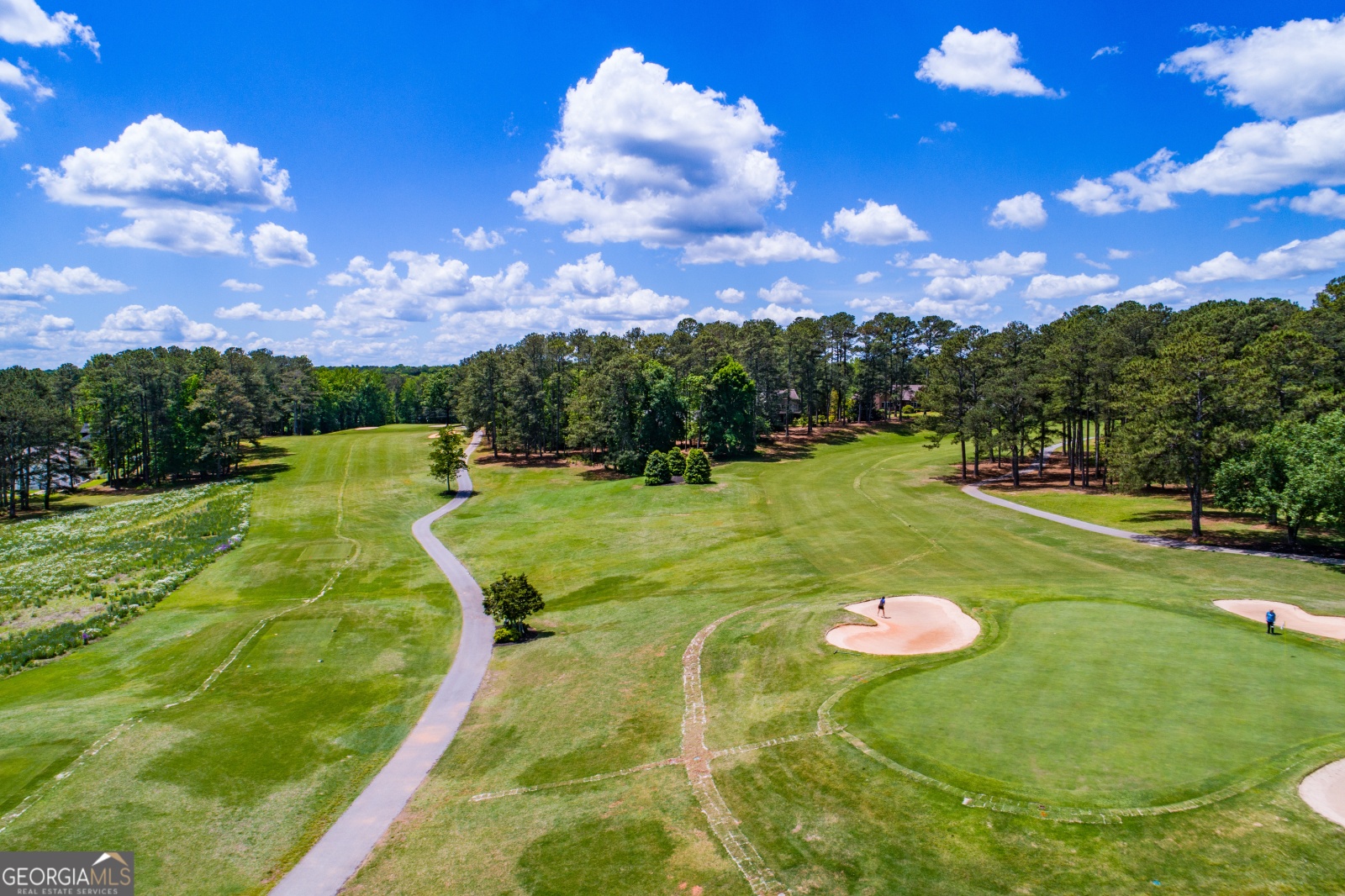 5206 Pine Place, Villa Rica, Georgia 30180, ,Land,For Sale,Pine,9140262