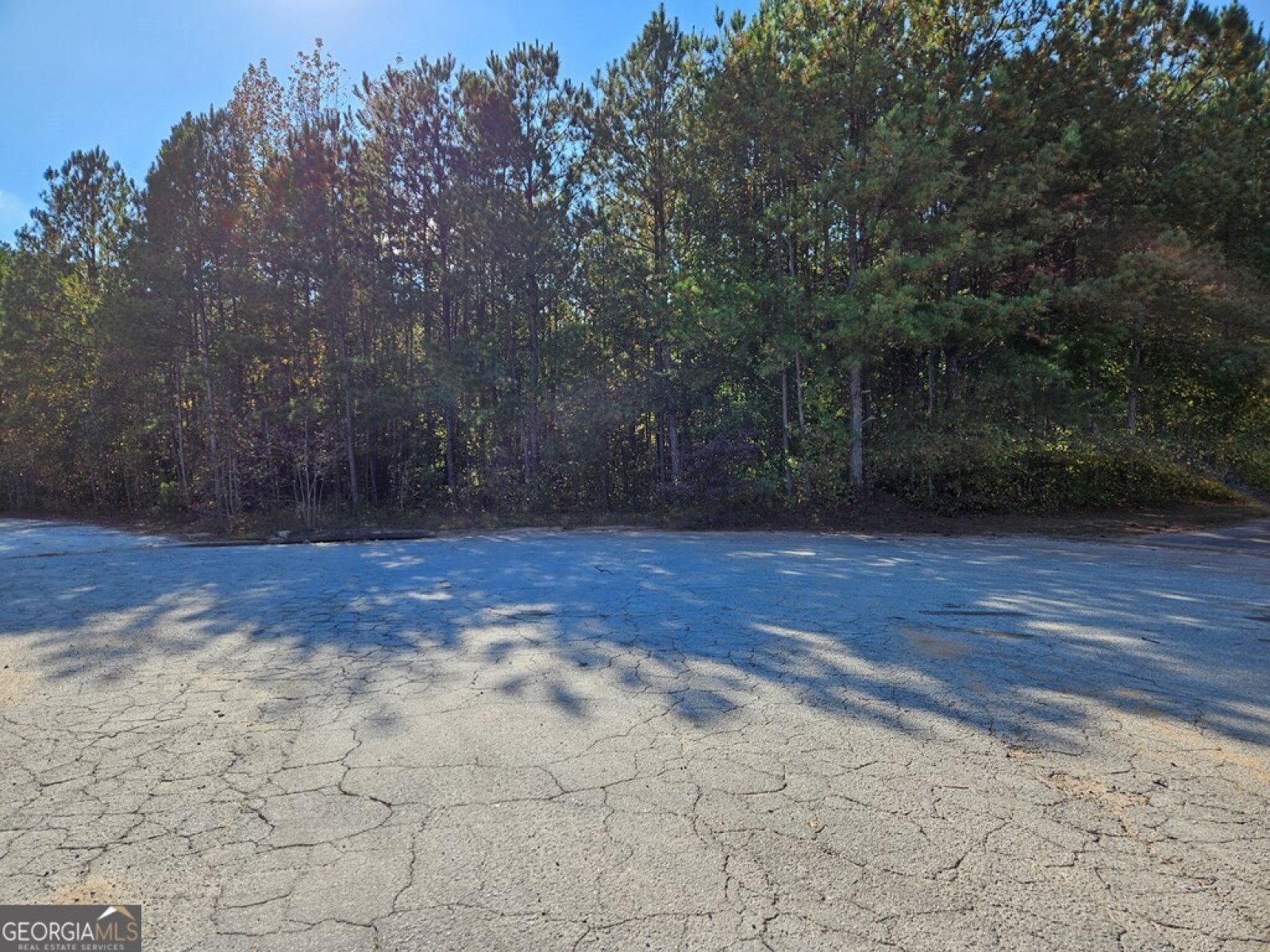 116 Redding Drive, Bremen, Georgia 30110, ,Commercial Sale,For Sale,Redding,9140284