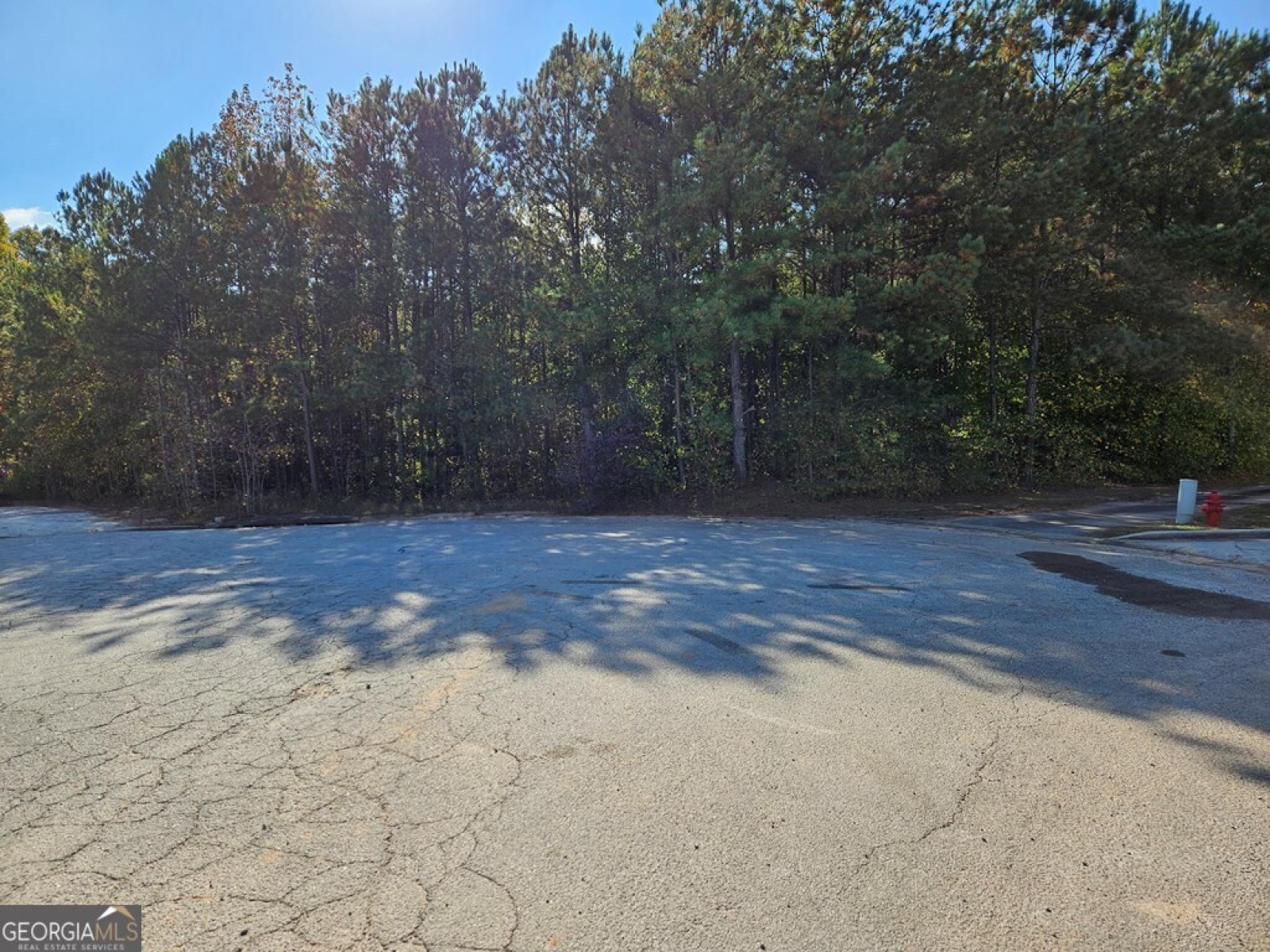 116 Redding Drive, Bremen, Georgia 30110, ,Commercial Sale,For Sale,Redding,9140284